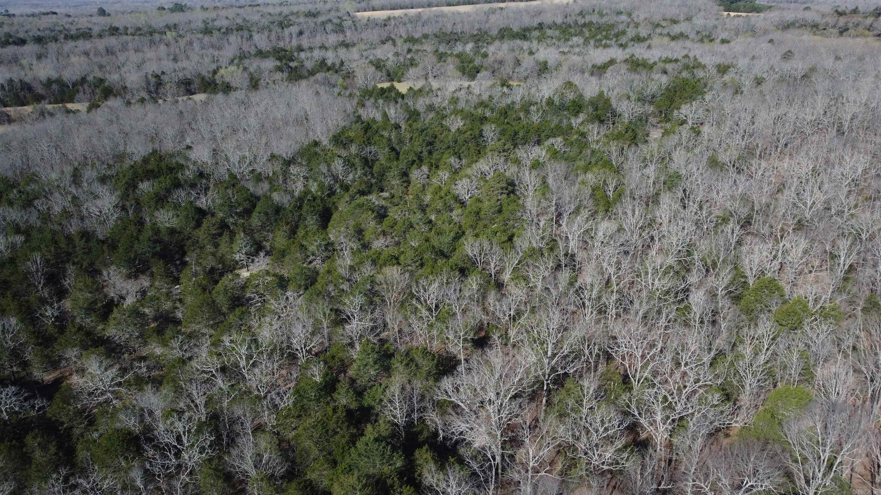 2008 JACKSON 5  Bradford, AR