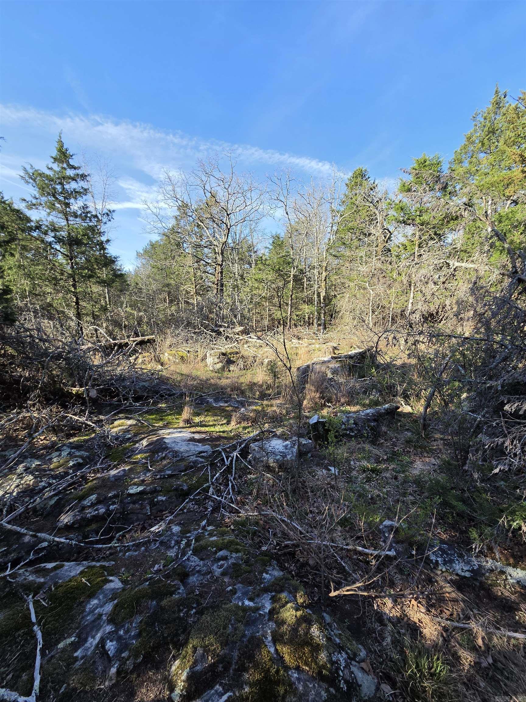 2008 JACKSON 5  Bradford, AR