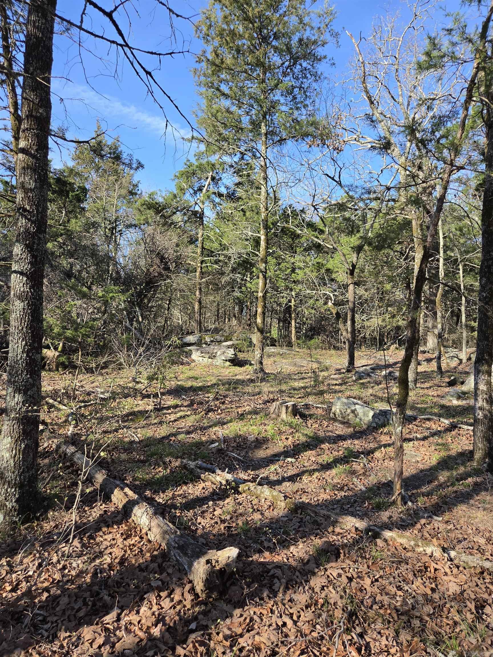 2008 JACKSON 5  Bradford, AR