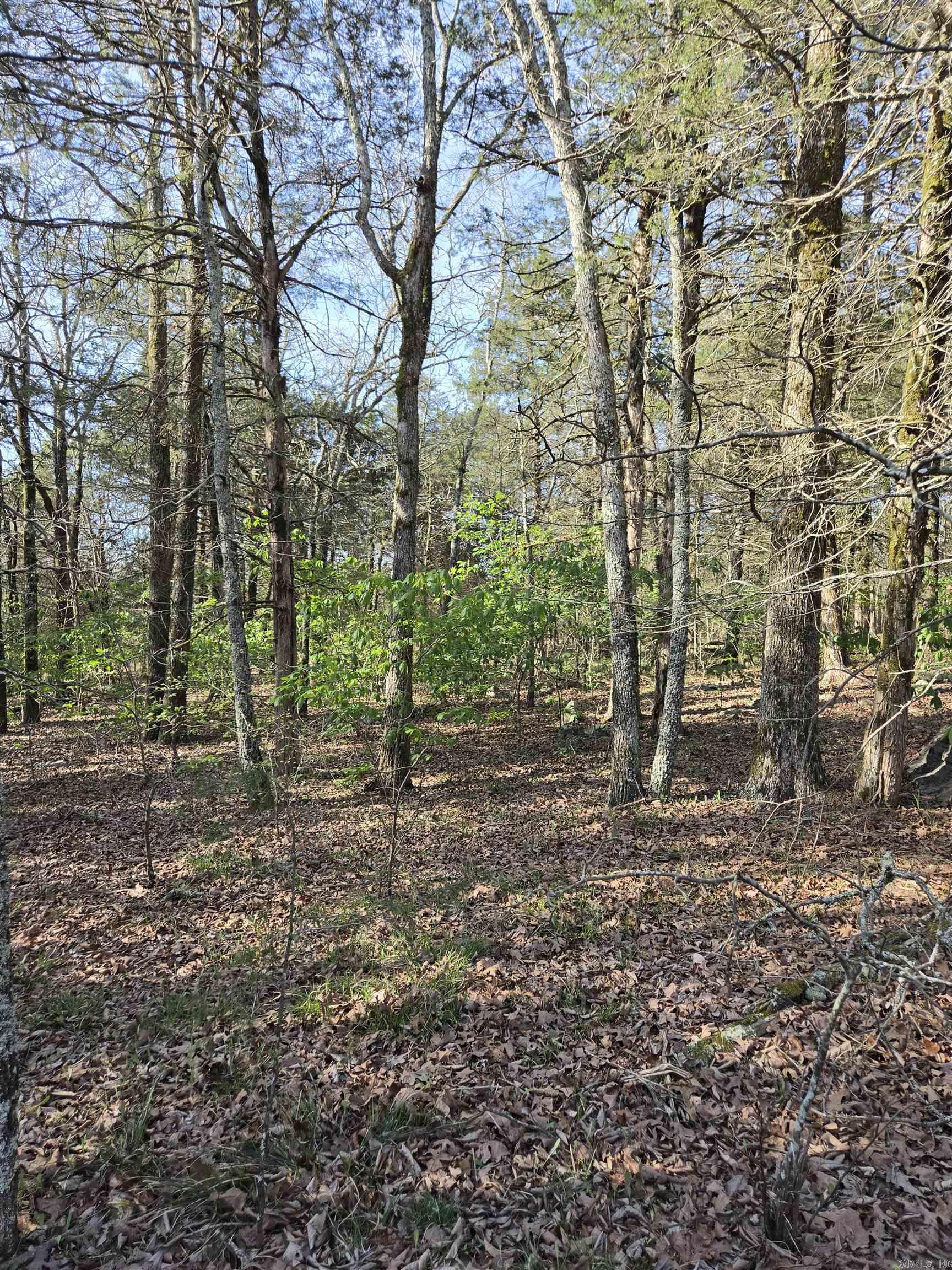 1812 Jackson 5  Bradford, AR