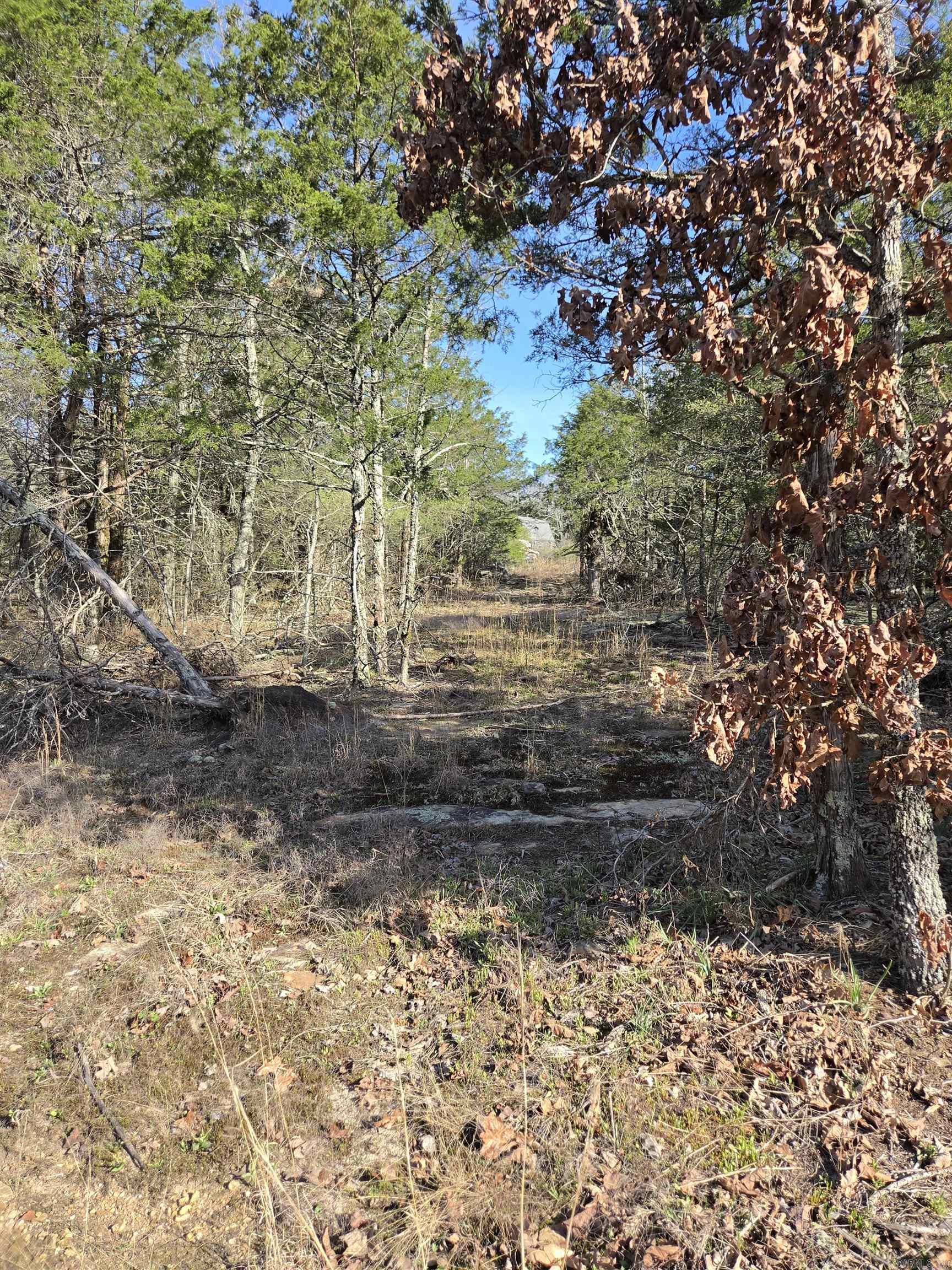 1812 Jackson 5  Bradford, AR