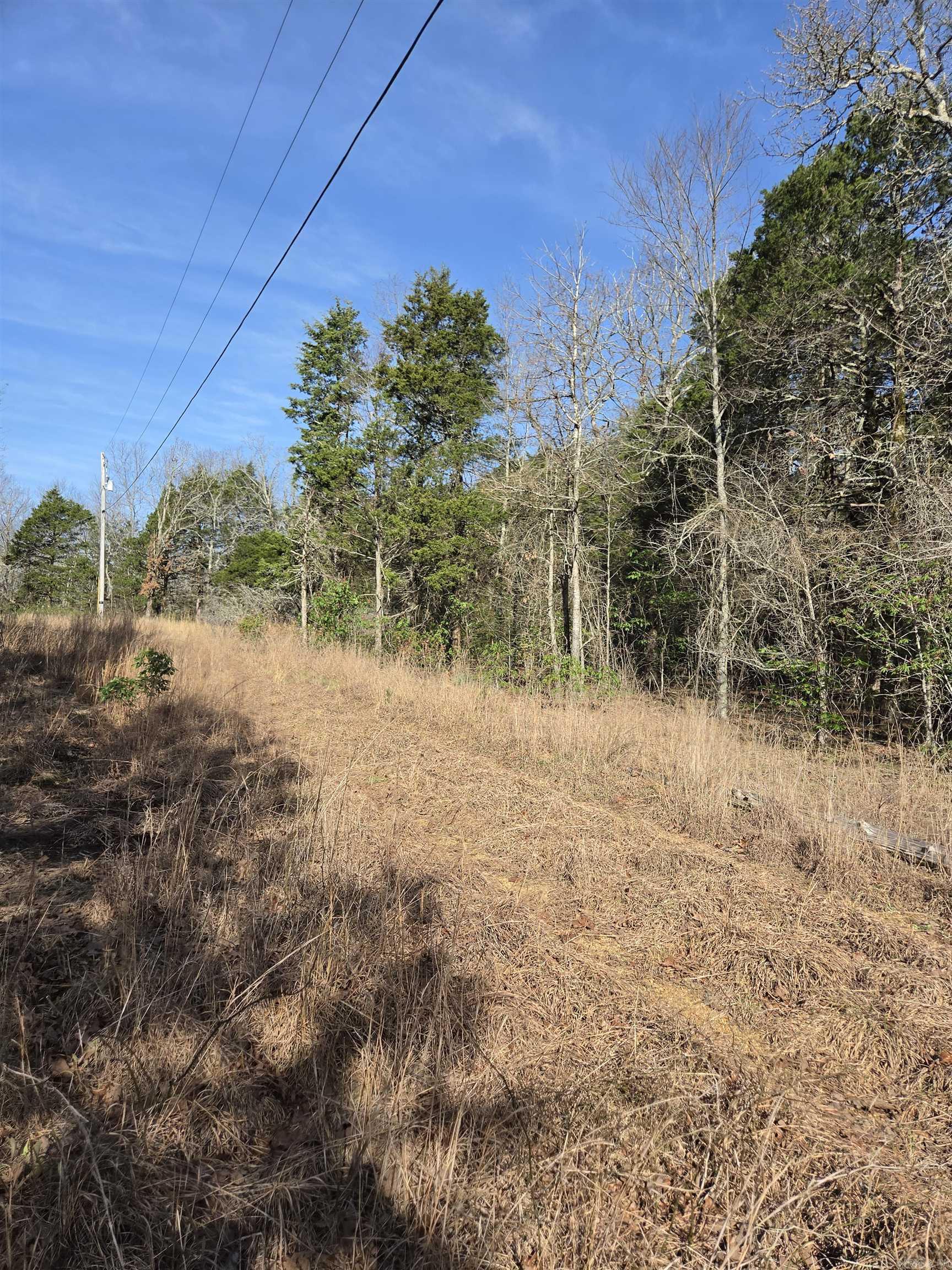 1812 Jackson 5  Bradford, AR