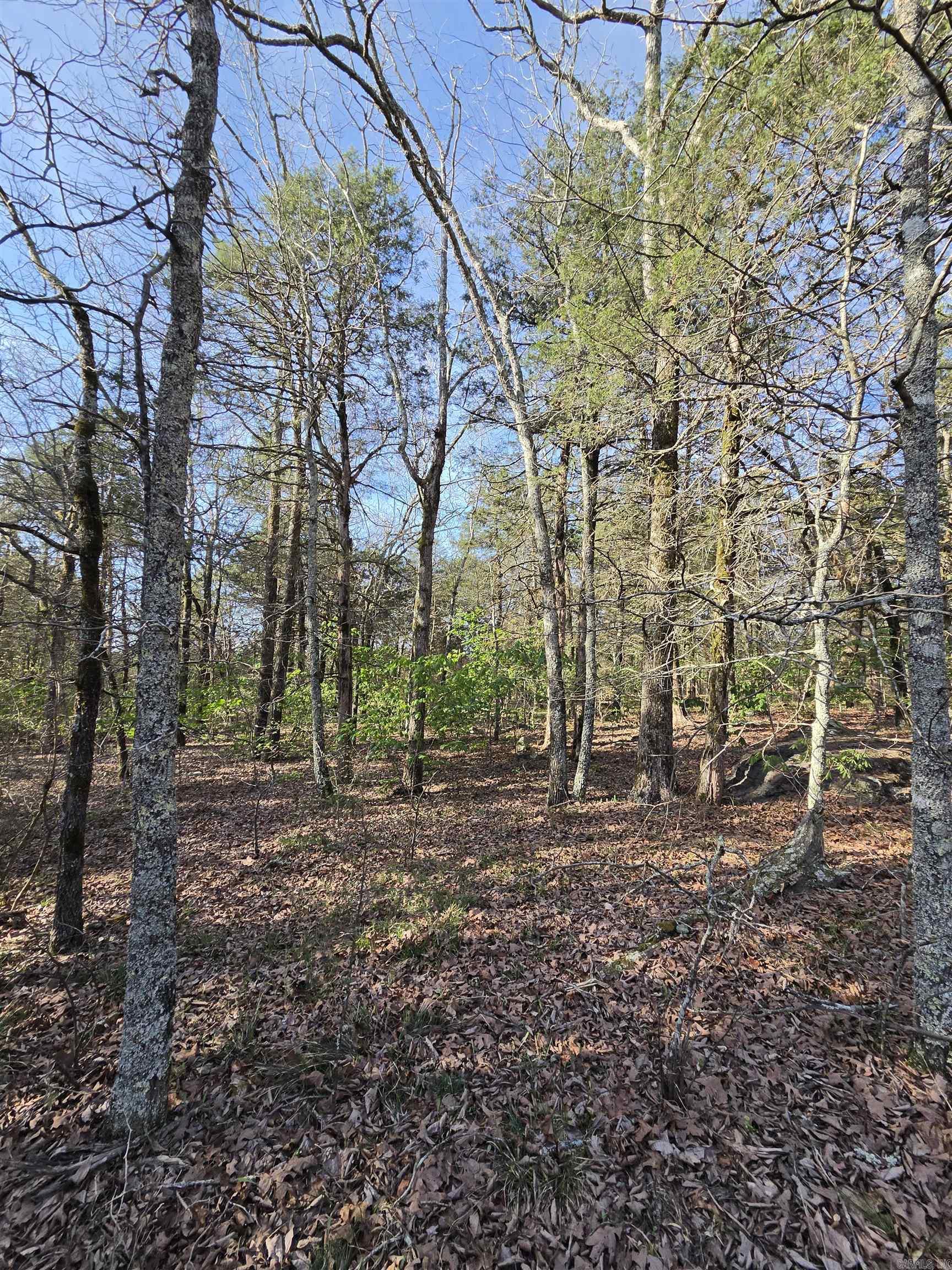 1812 Jackson 5  Bradford, AR