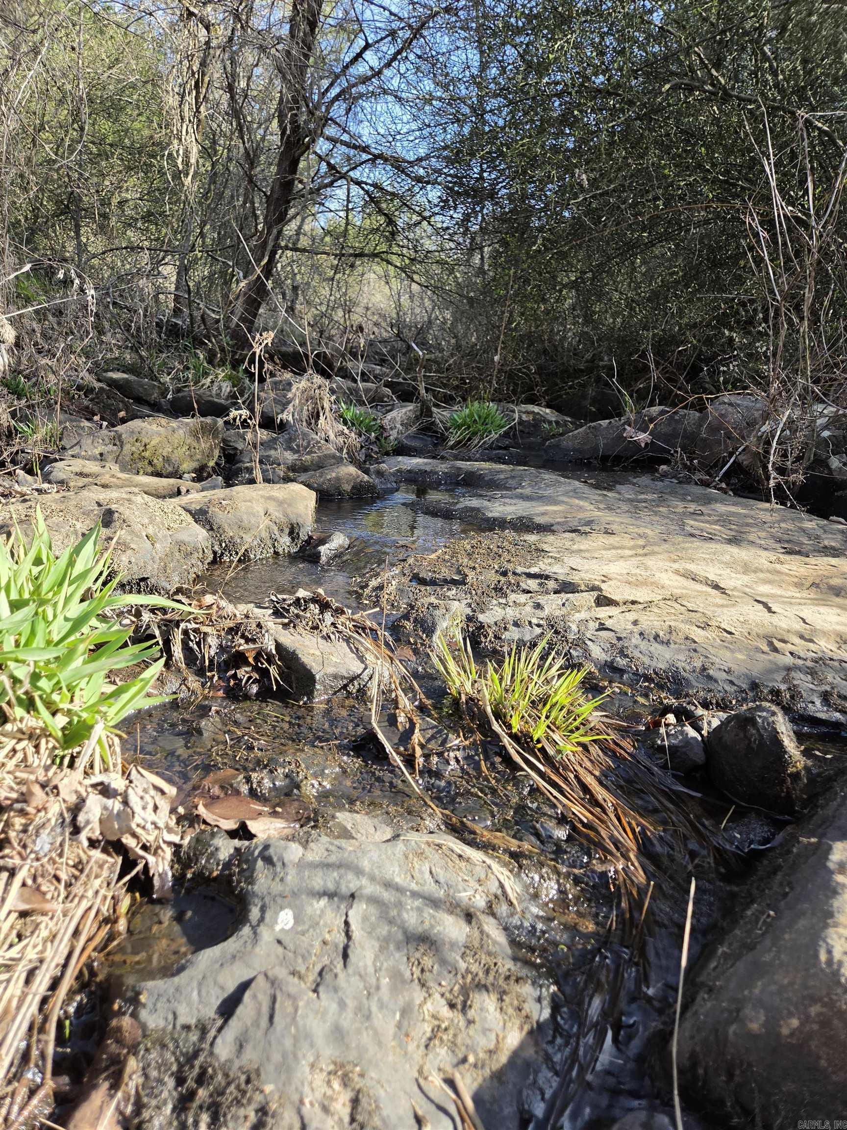 1812 Jackson 5  Bradford, AR