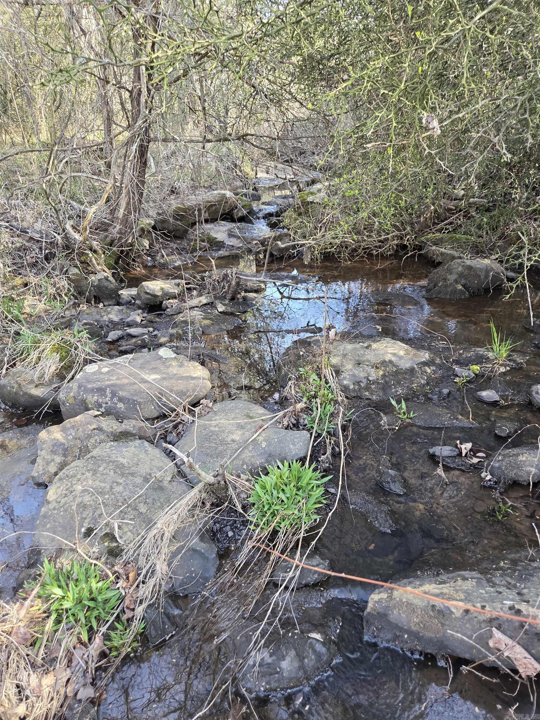 1812 Jackson 5  Bradford, AR