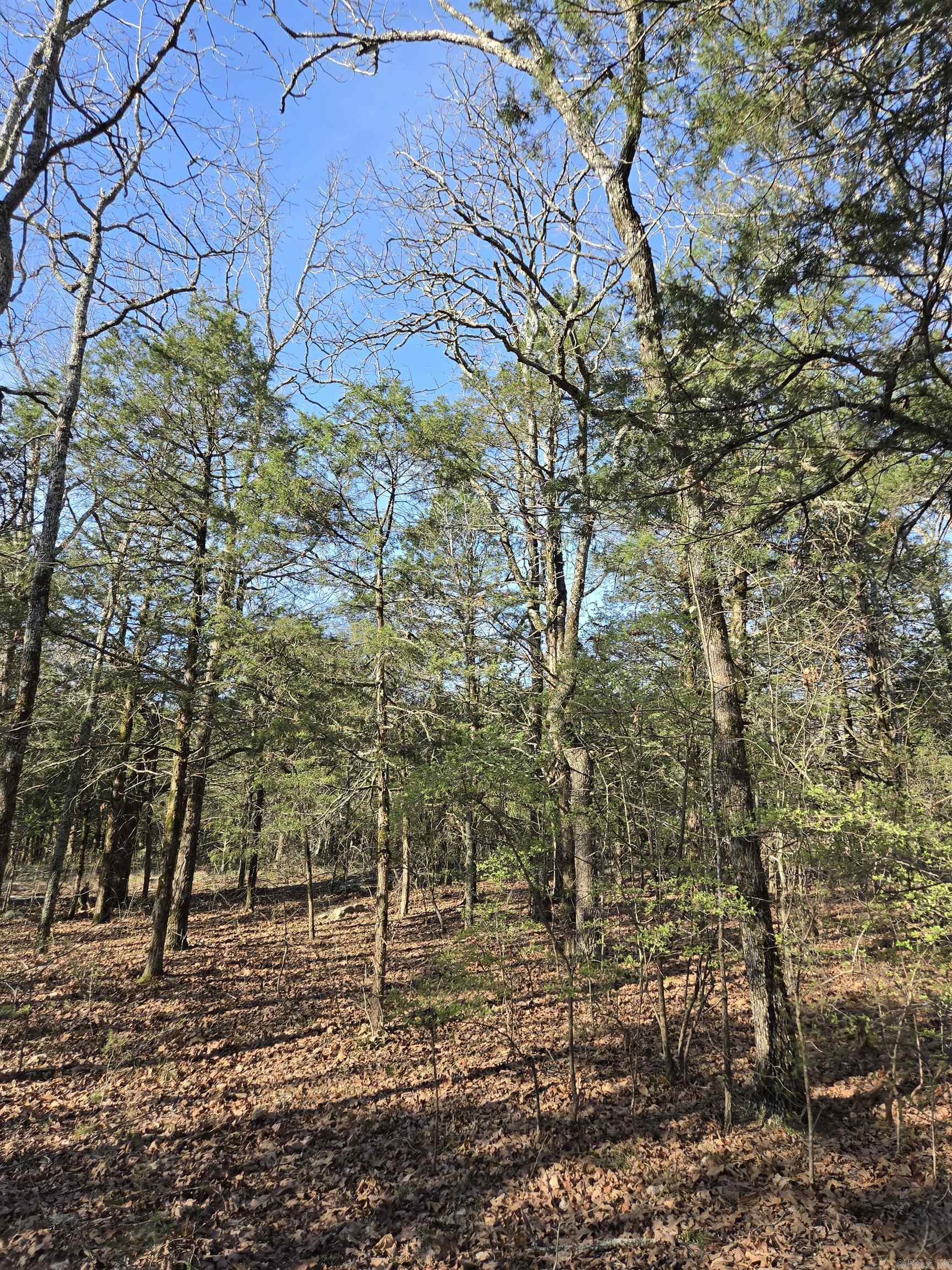 1812 Jackson 5  Bradford, AR