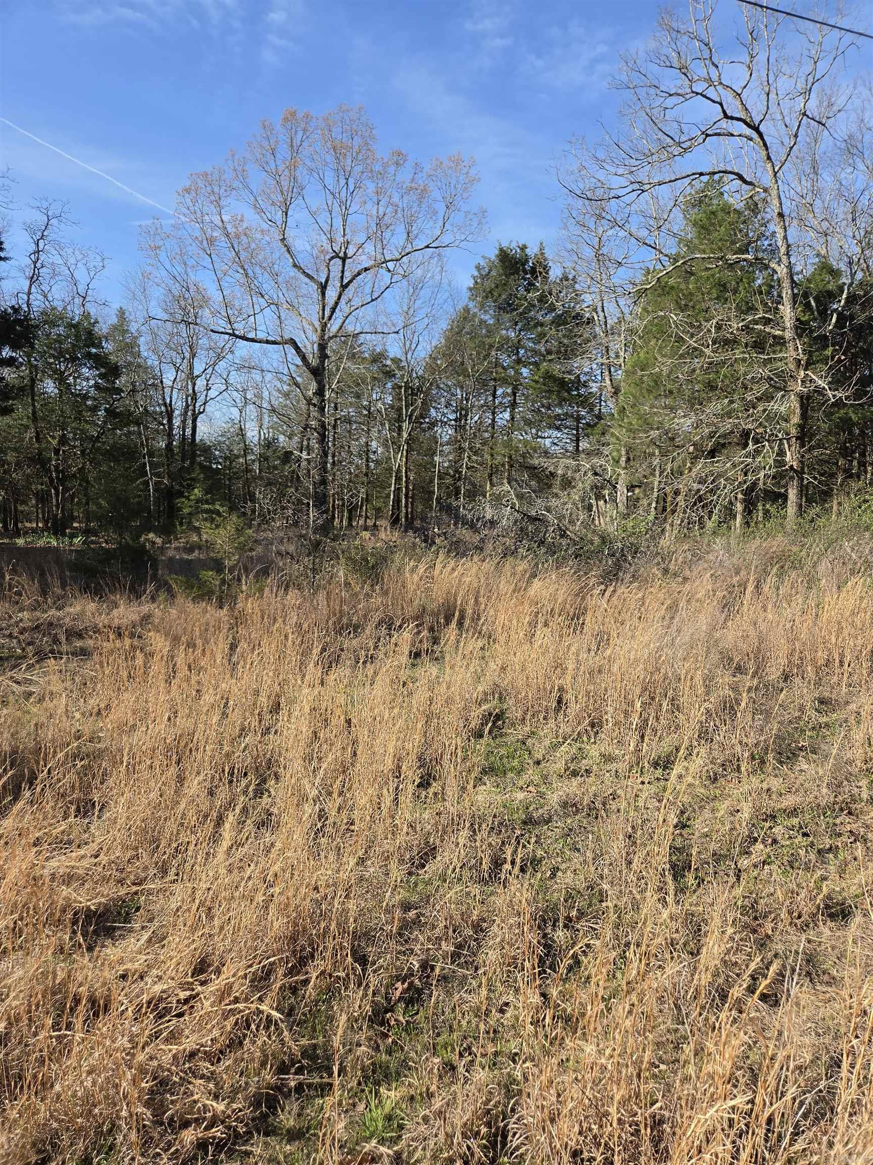 1812 Jackson 5  Bradford, AR