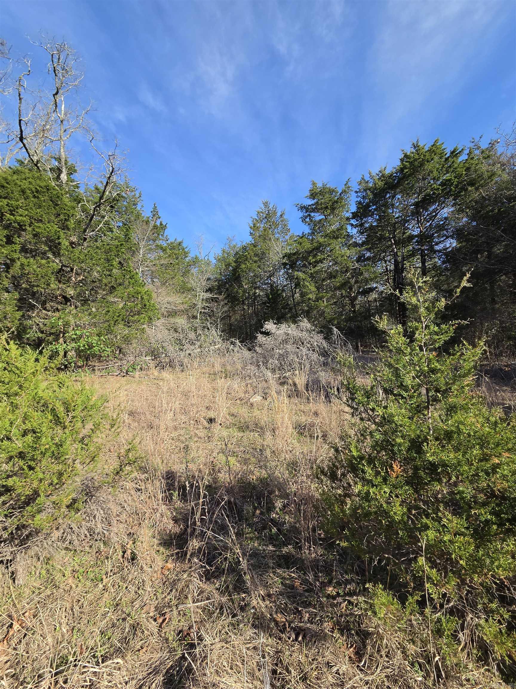 1812 Jackson 5  Bradford, AR