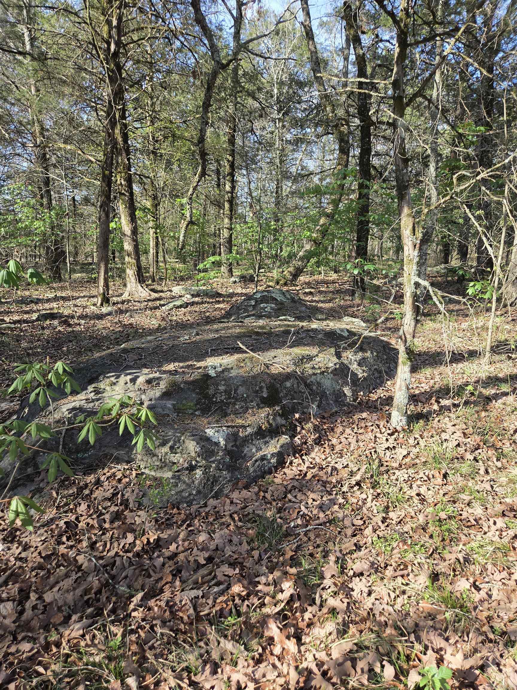 1812 Jackson 5  Bradford, AR