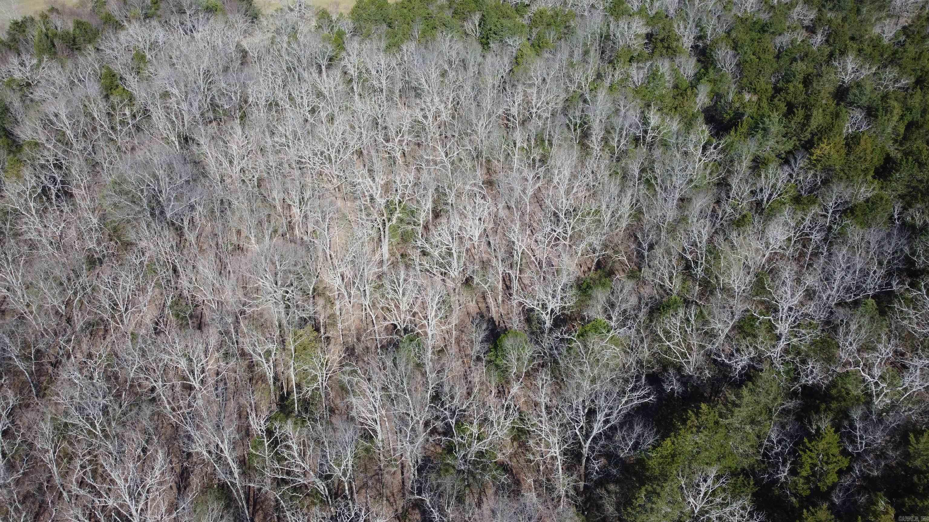 1812 Jackson 5  Bradford, AR