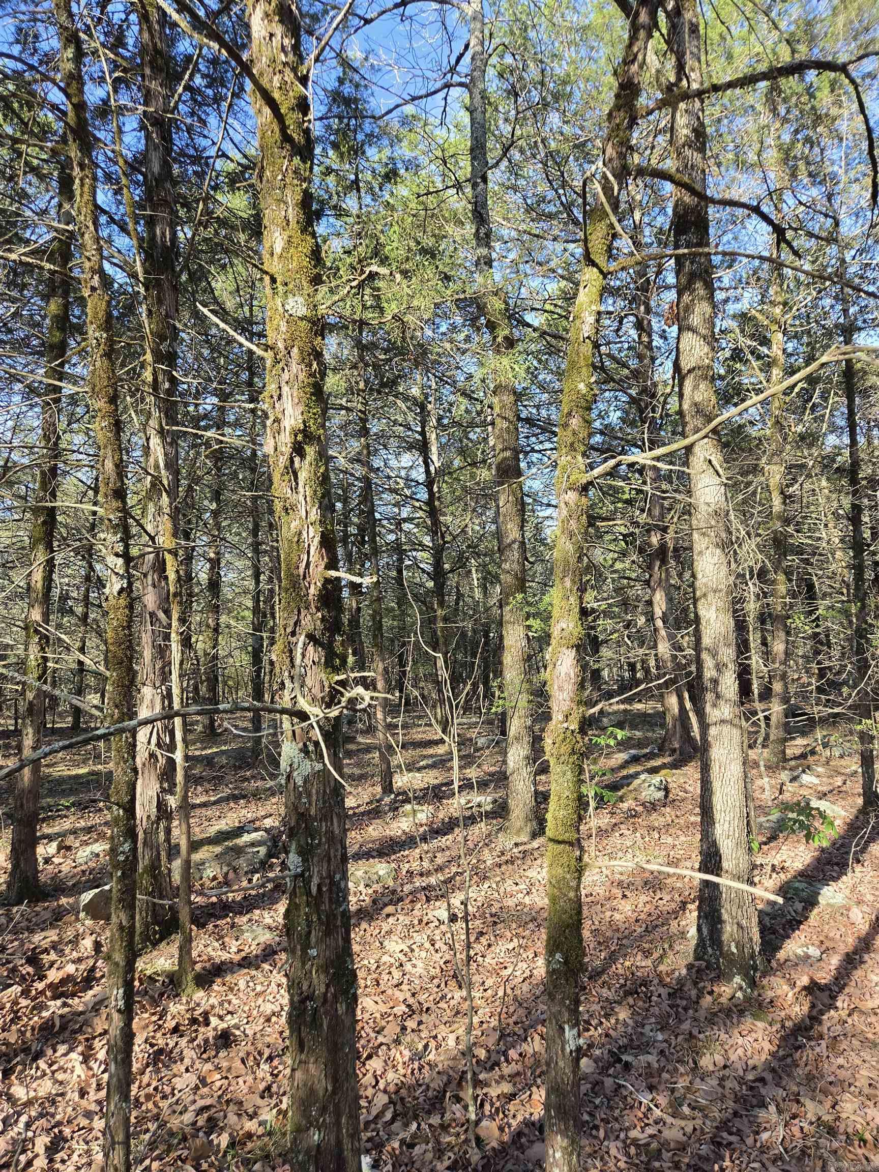 1812 Jackson 5  Bradford, AR