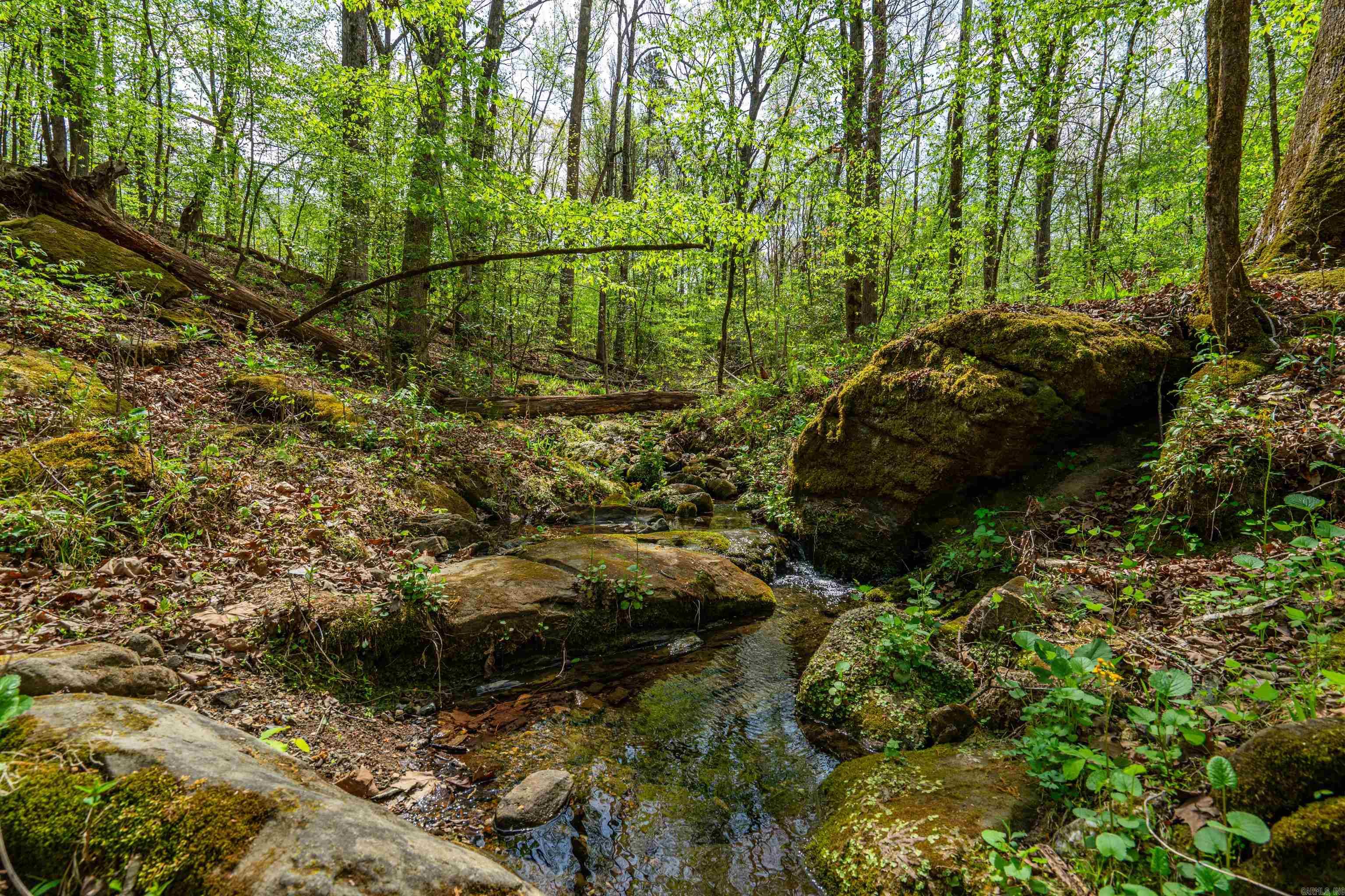 5935 E HWY 270  Mount Ida, AR