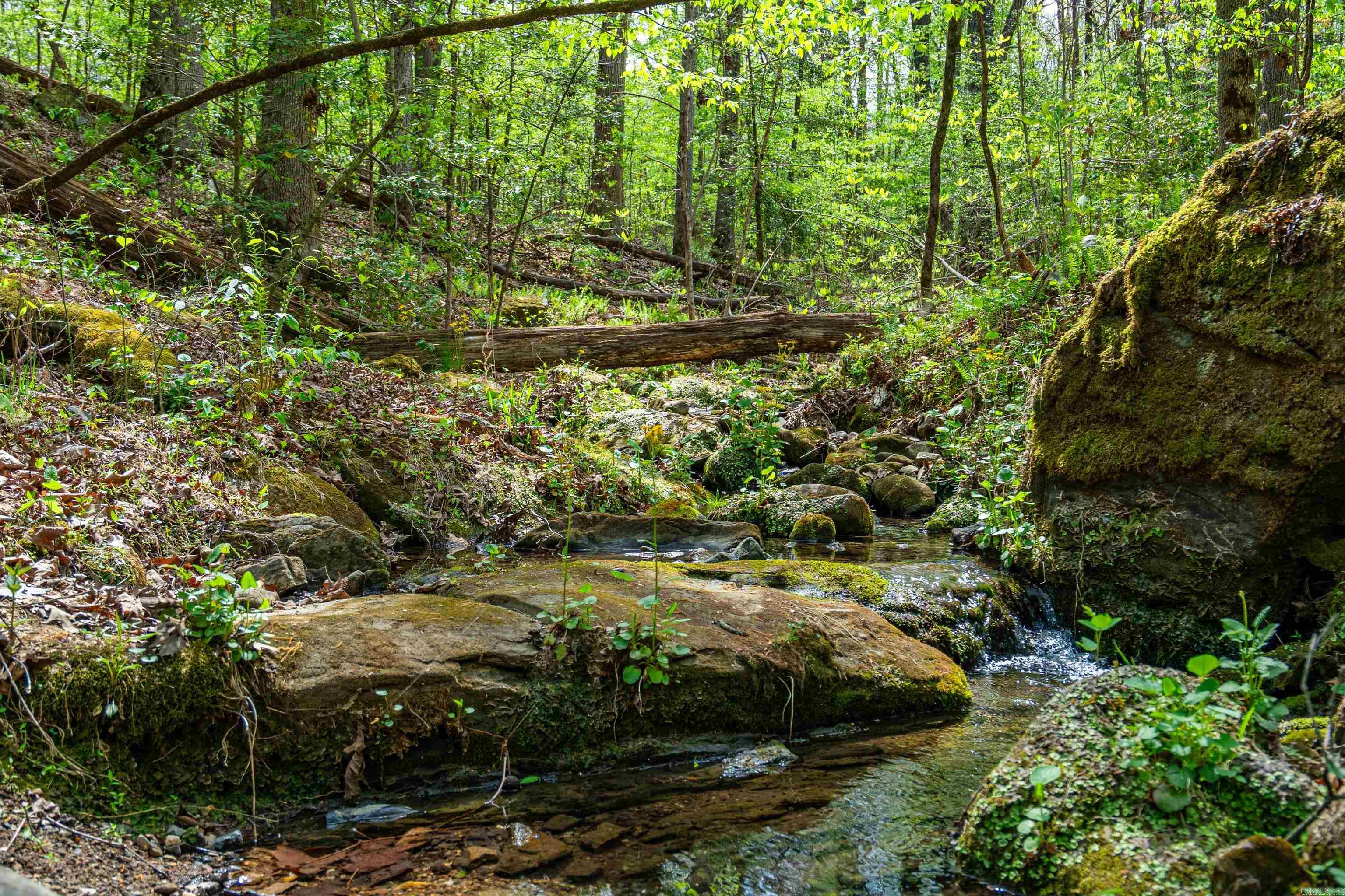 5935 E HWY 270  Mount Ida, AR