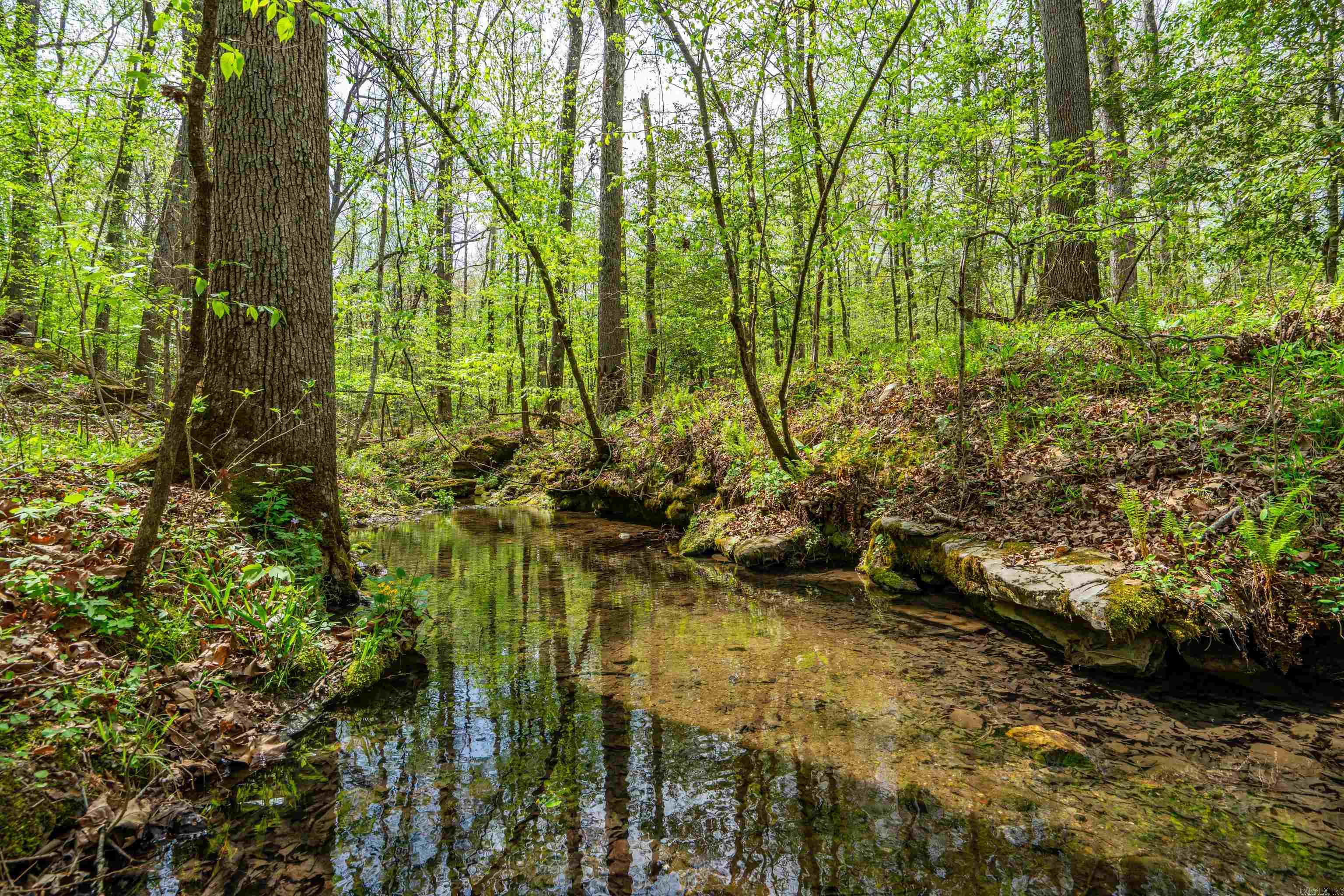 5935 E HWY 270  Mount Ida, AR