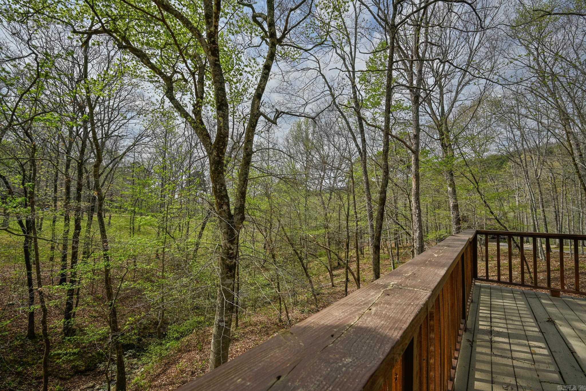 TBD Polk Road 602  Mena, AR