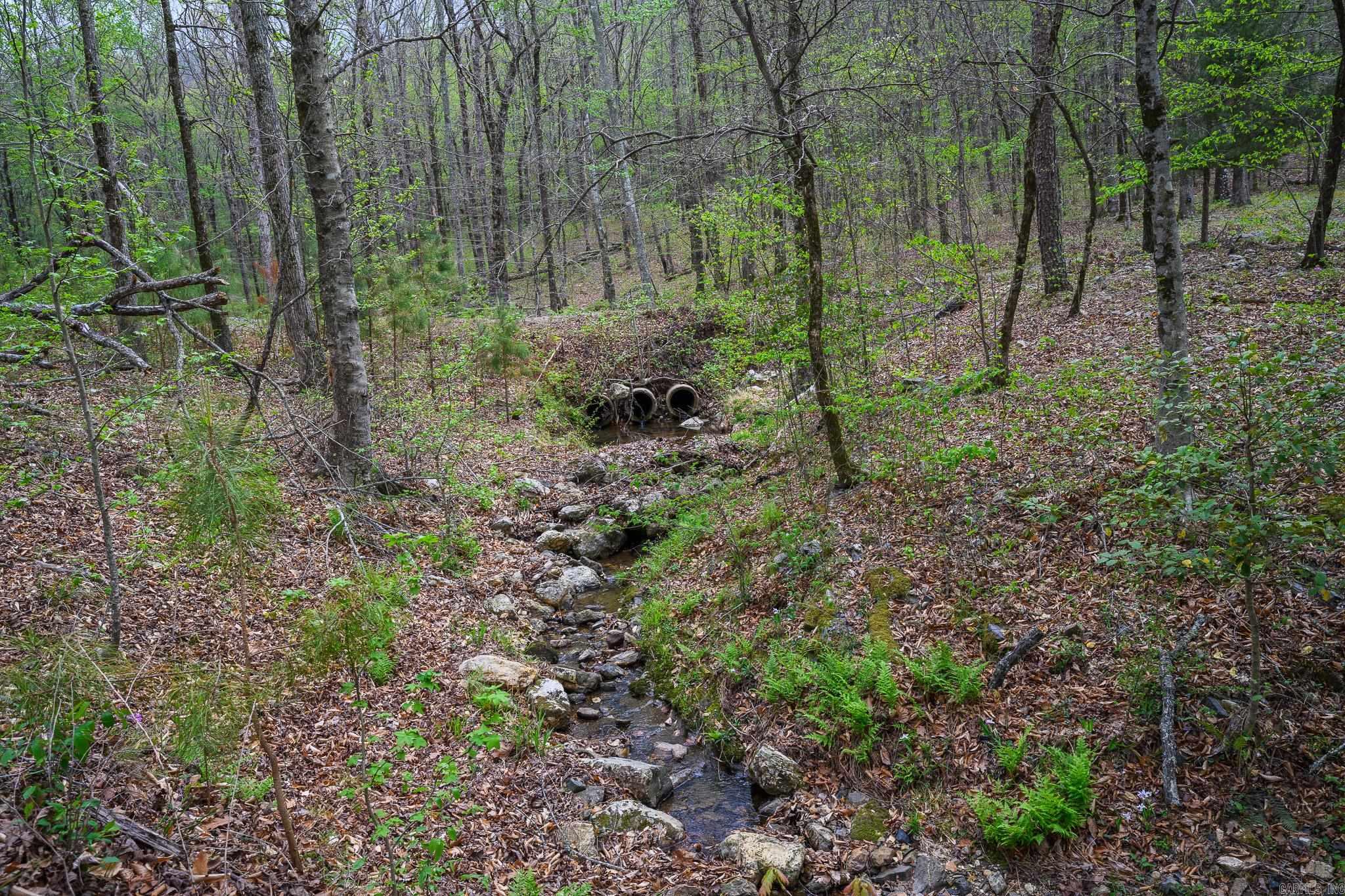 TBD Polk Road 602  Mena, AR