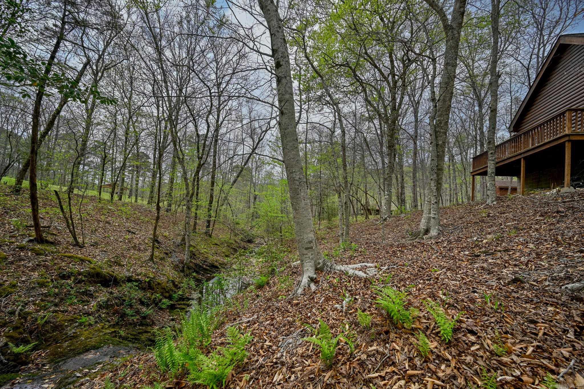 TBD Polk Road 602  Mena, AR