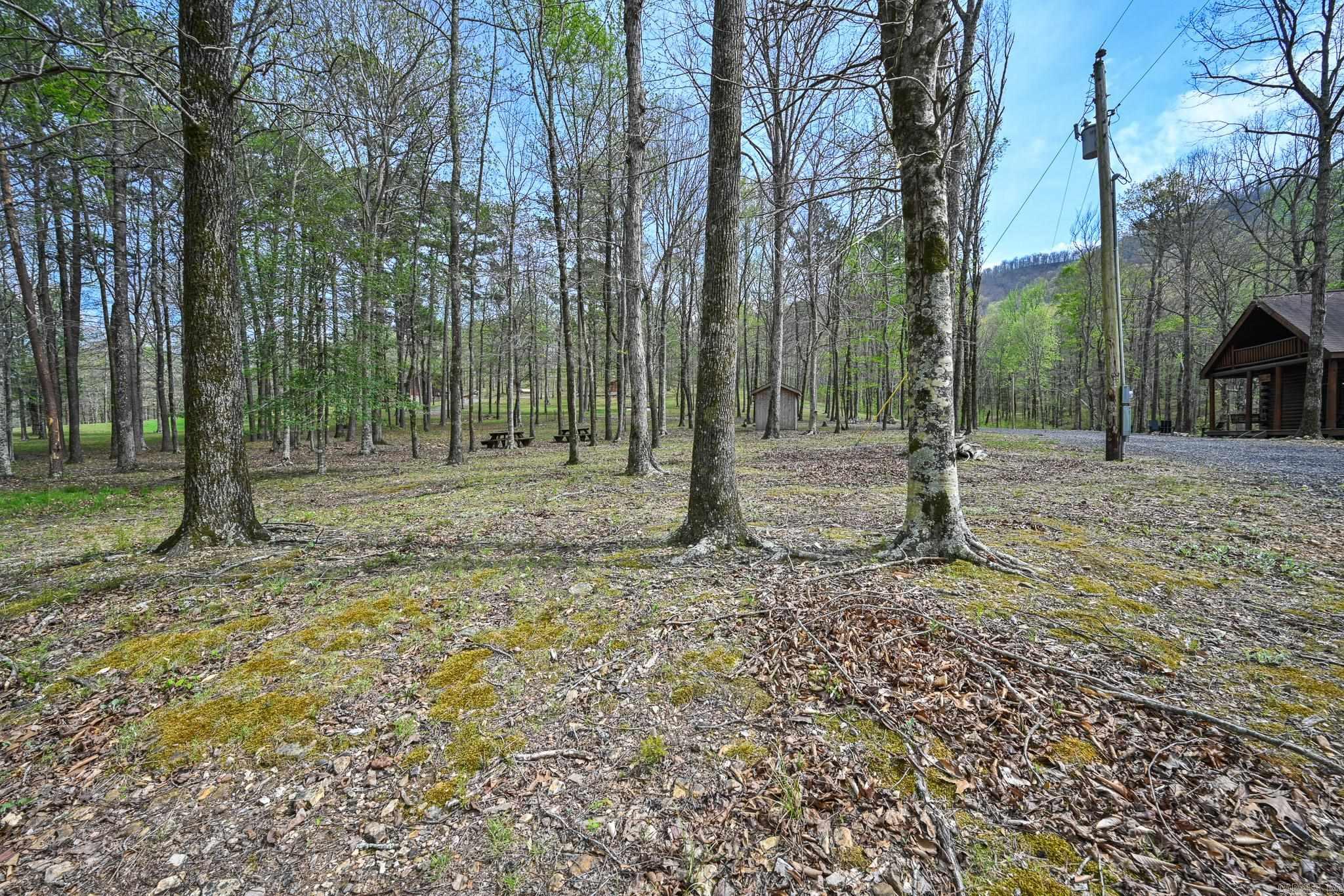 TBD Polk Road 602  Mena, AR