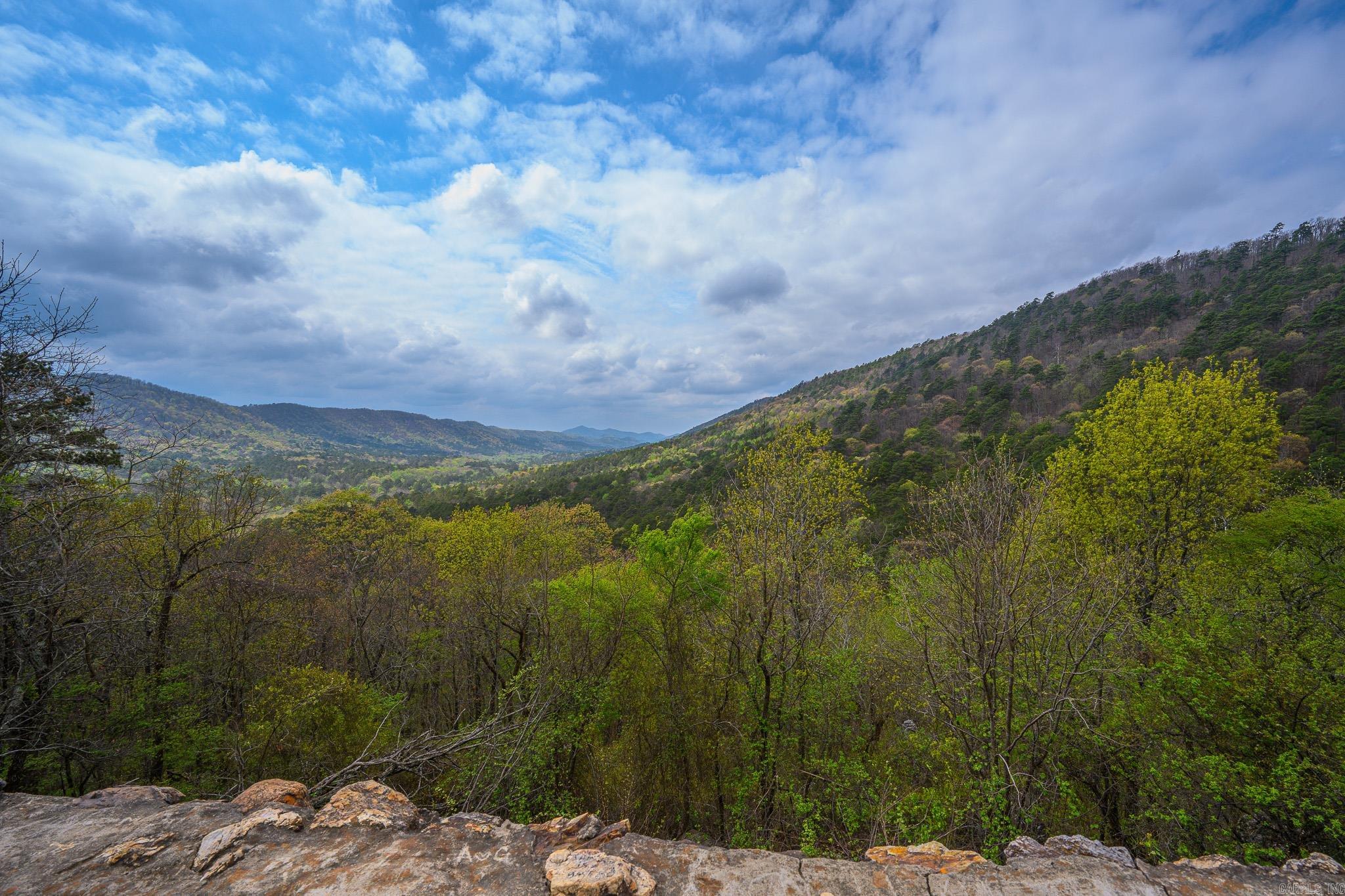 TBD Polk Road 602  Mena, AR