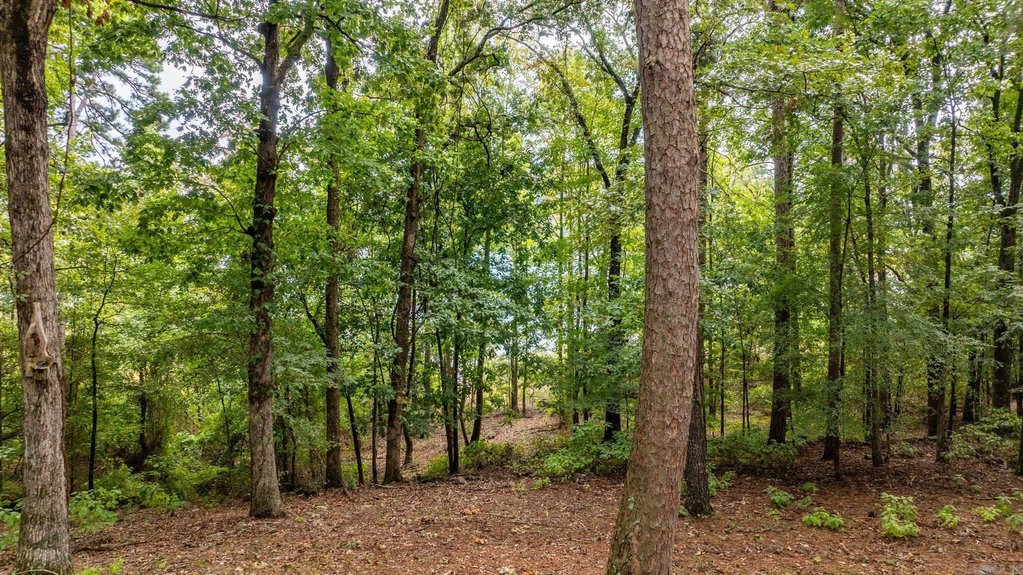 167 Wilshire Drive  Fairfield Bay, AR