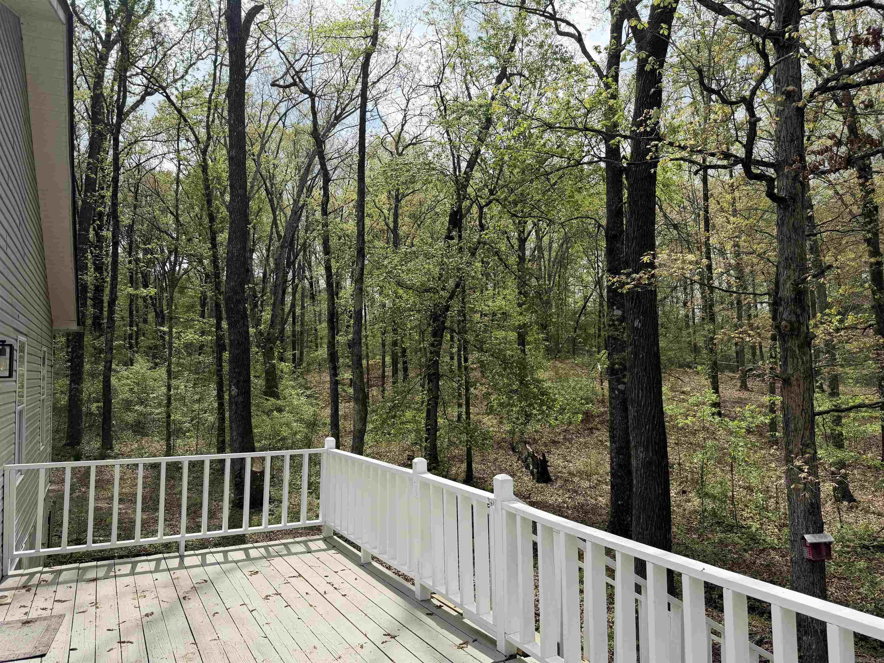 55 Pamela  Cabot, AR