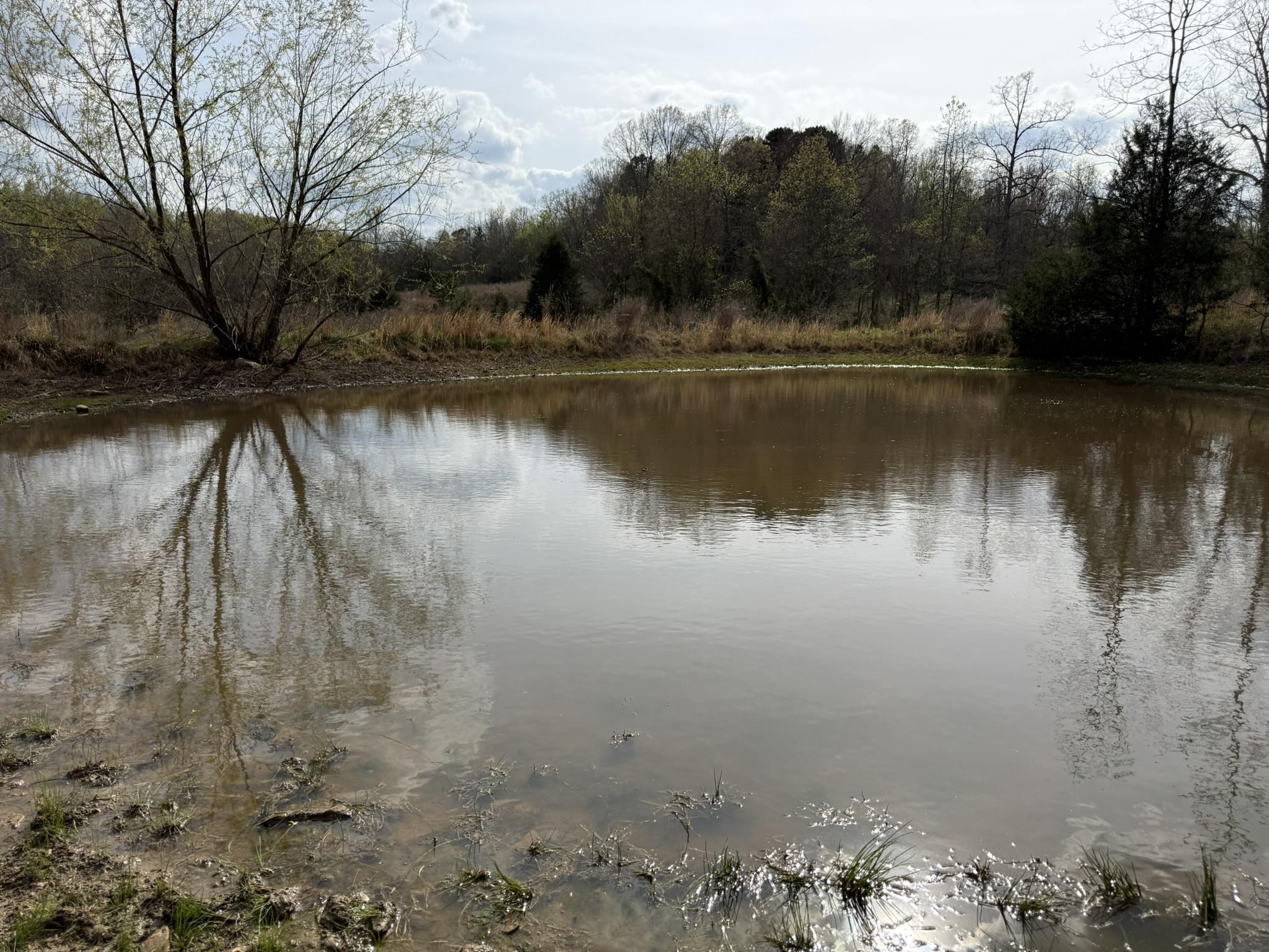 77 Coon Dog Lane  Melbourne, AR