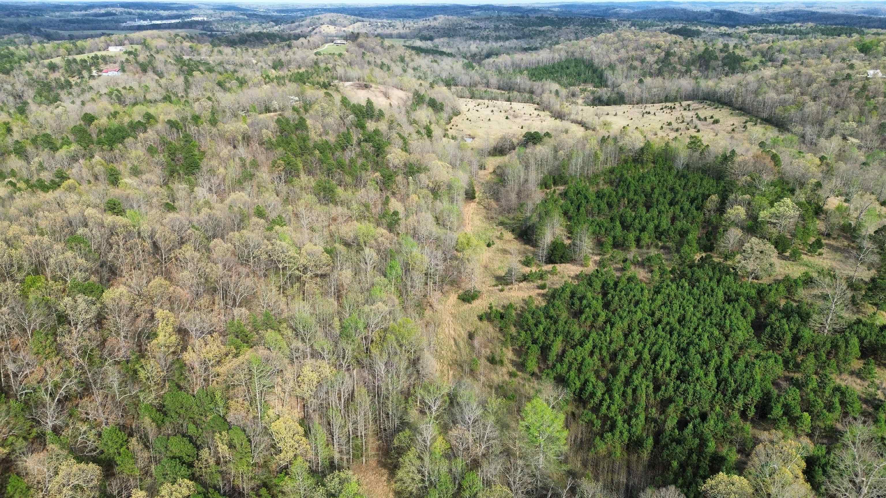 77 Coon Dog Lane  Melbourne, AR