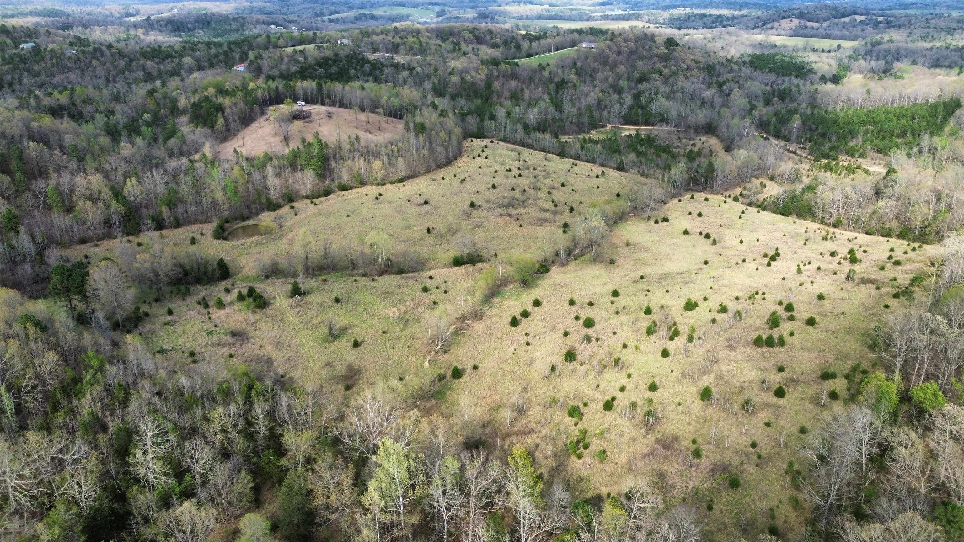 77 Coon Dog Lane  Melbourne, AR