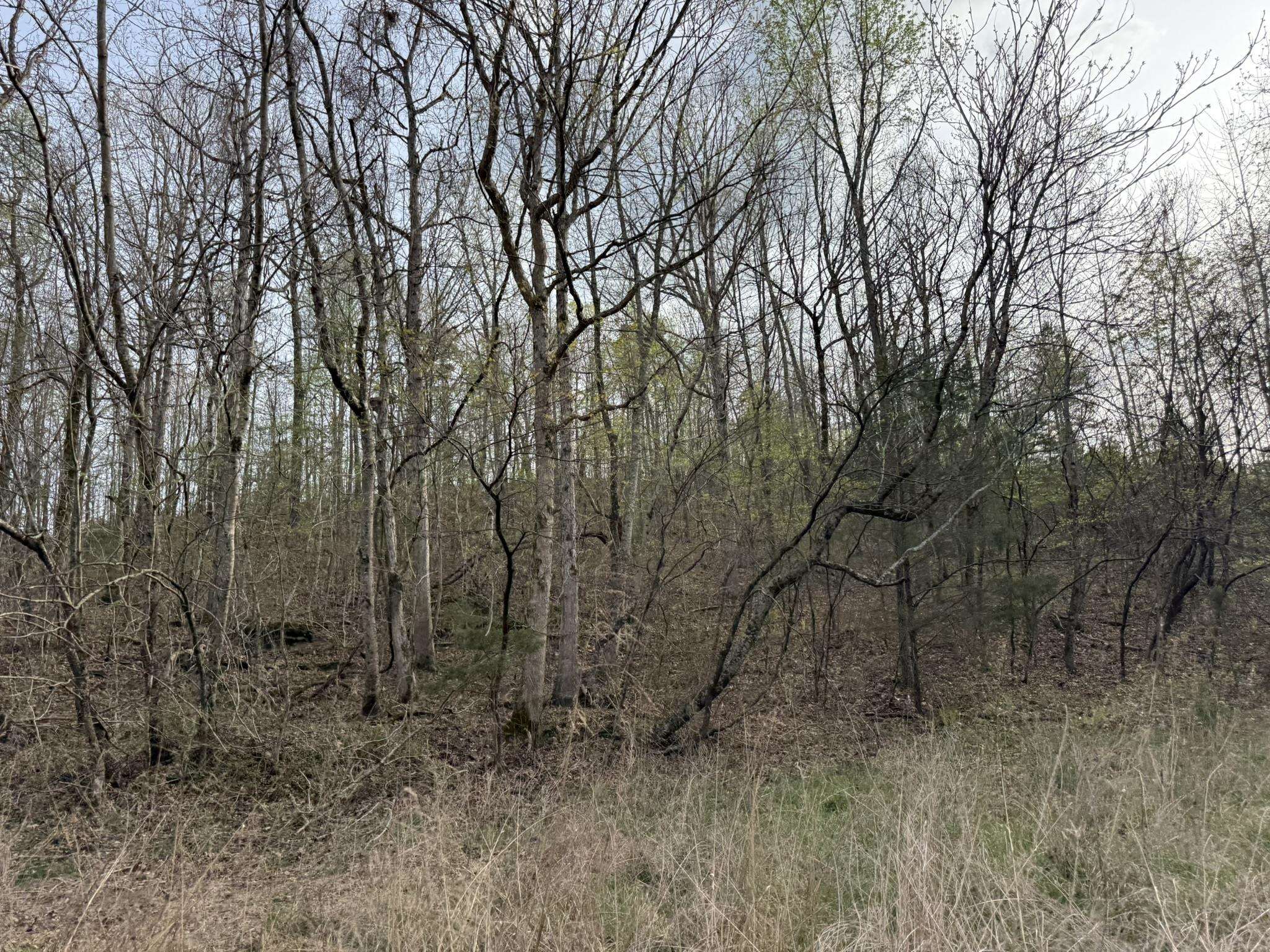 77 Coon Dog Lane  Melbourne, AR