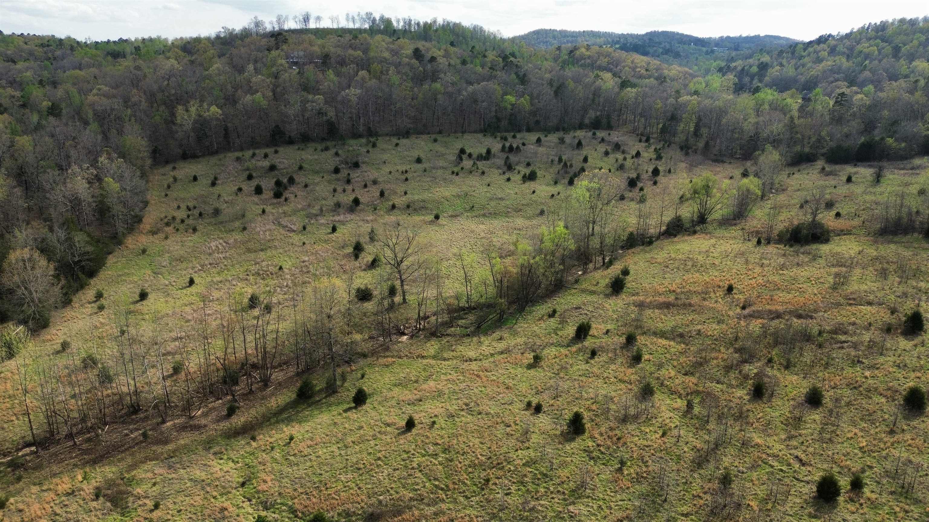 77 Coon Dog Lane  Melbourne, AR