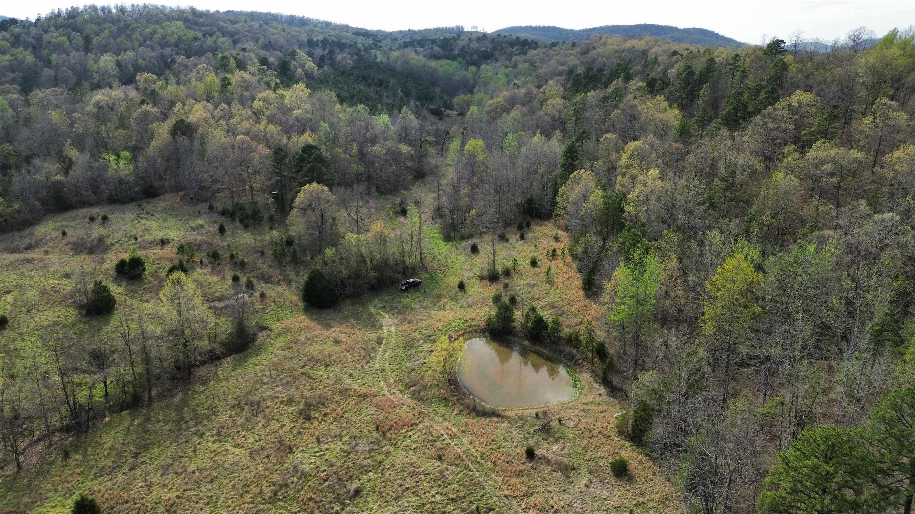 77 Coon Dog Lane  Melbourne, AR