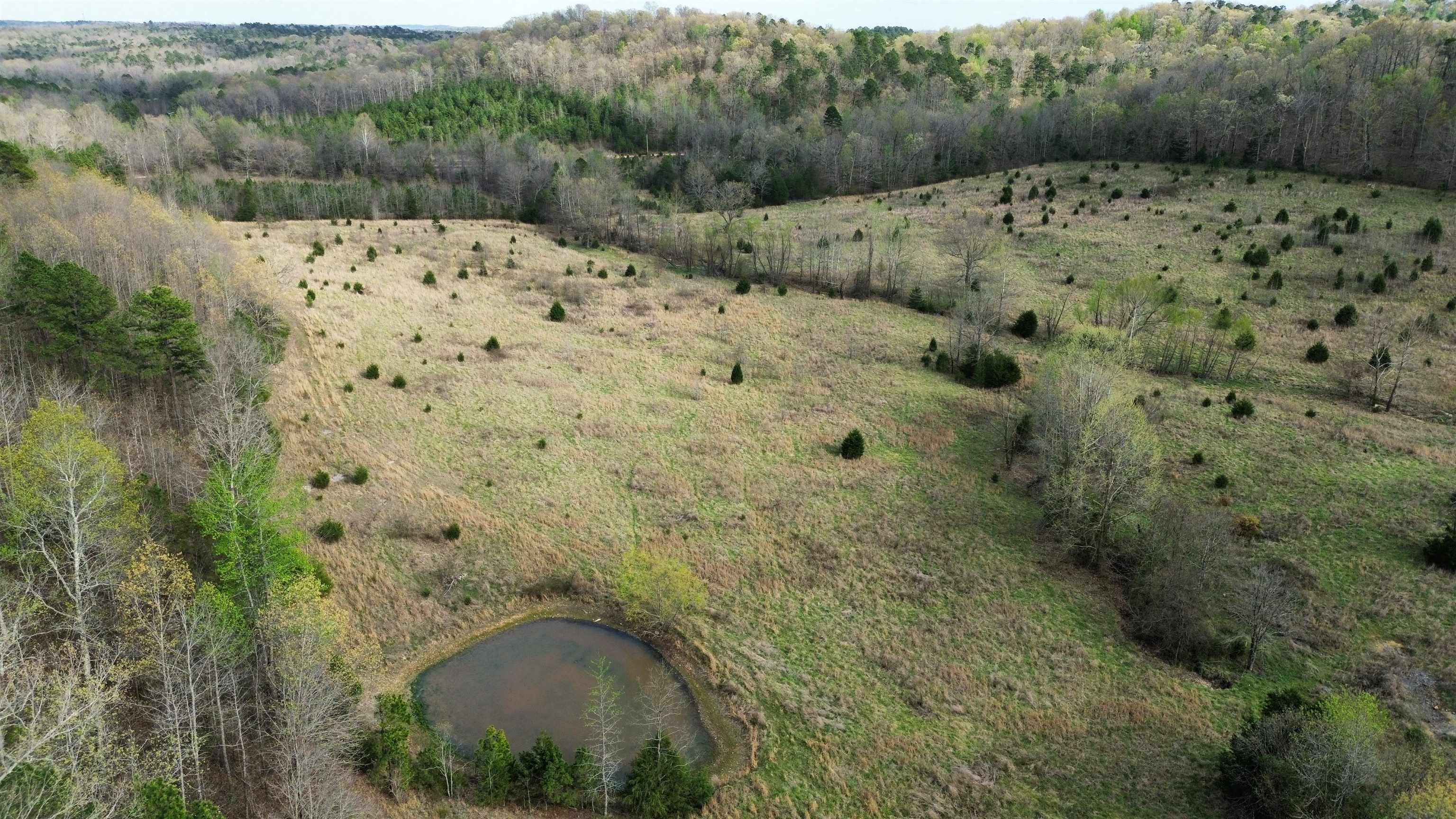 77 Coon Dog Lane  Melbourne, AR