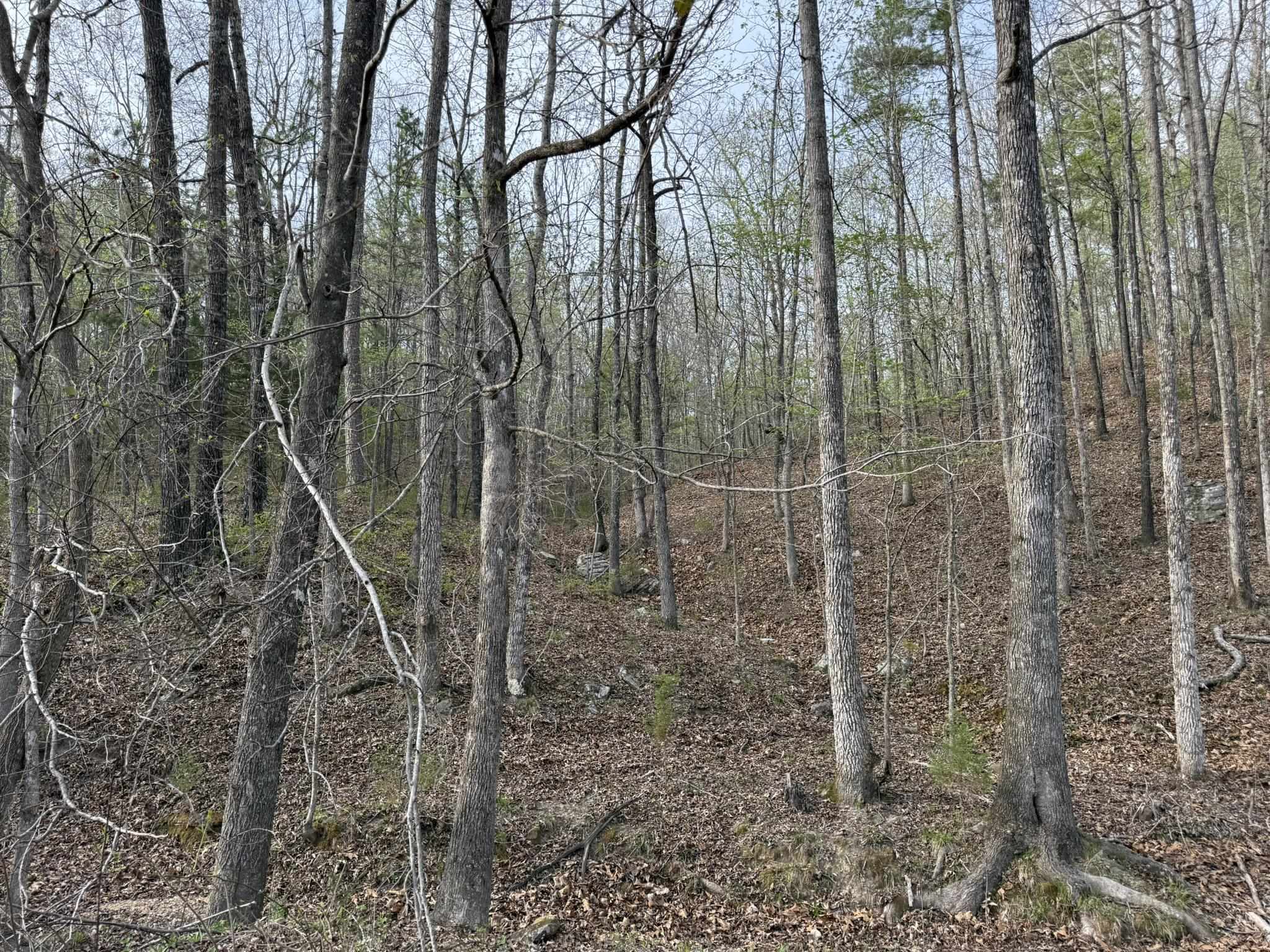 77 Coon Dog Lane  Melbourne, AR