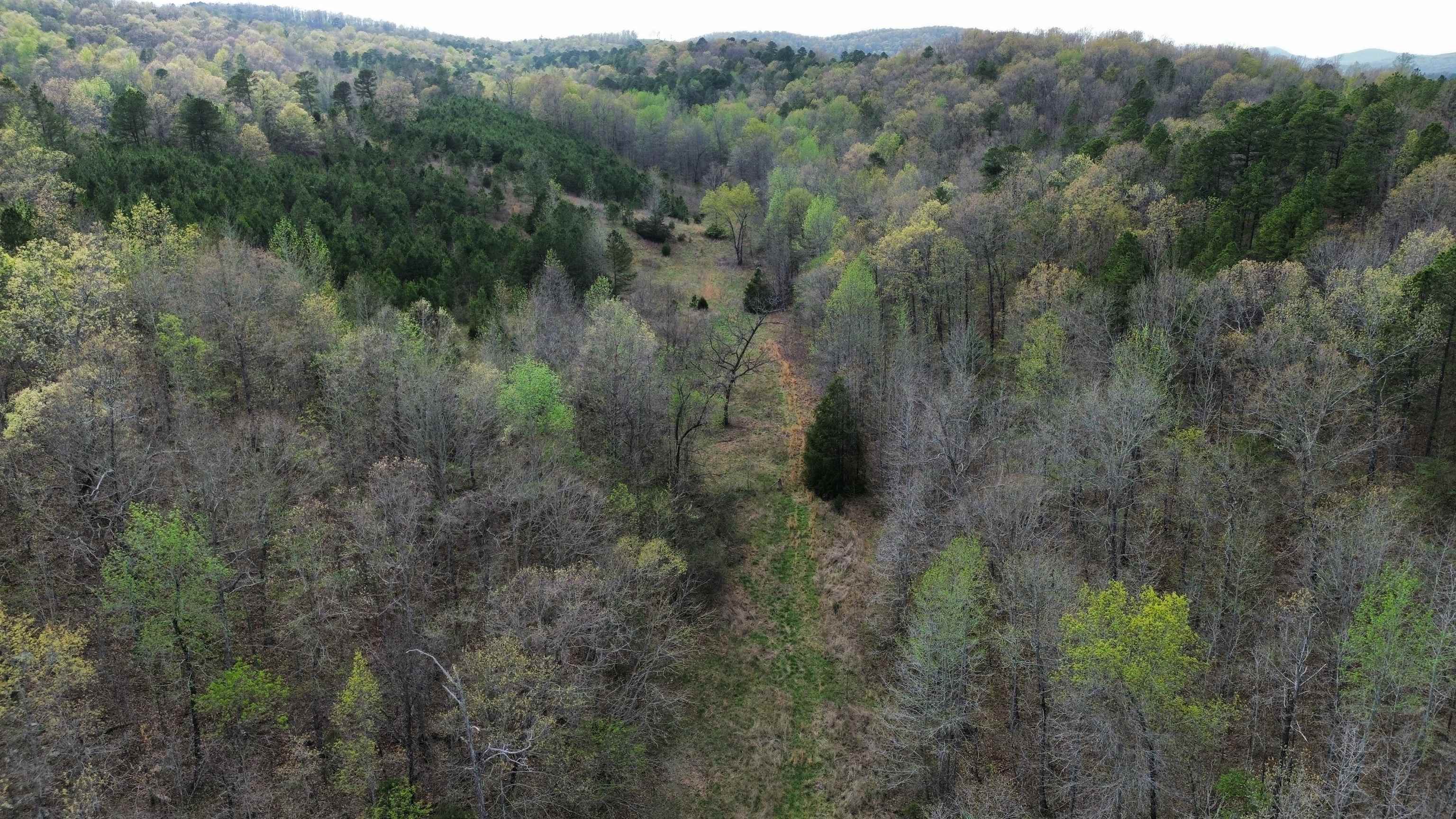 77 Coon Dog Lane  Melbourne, AR