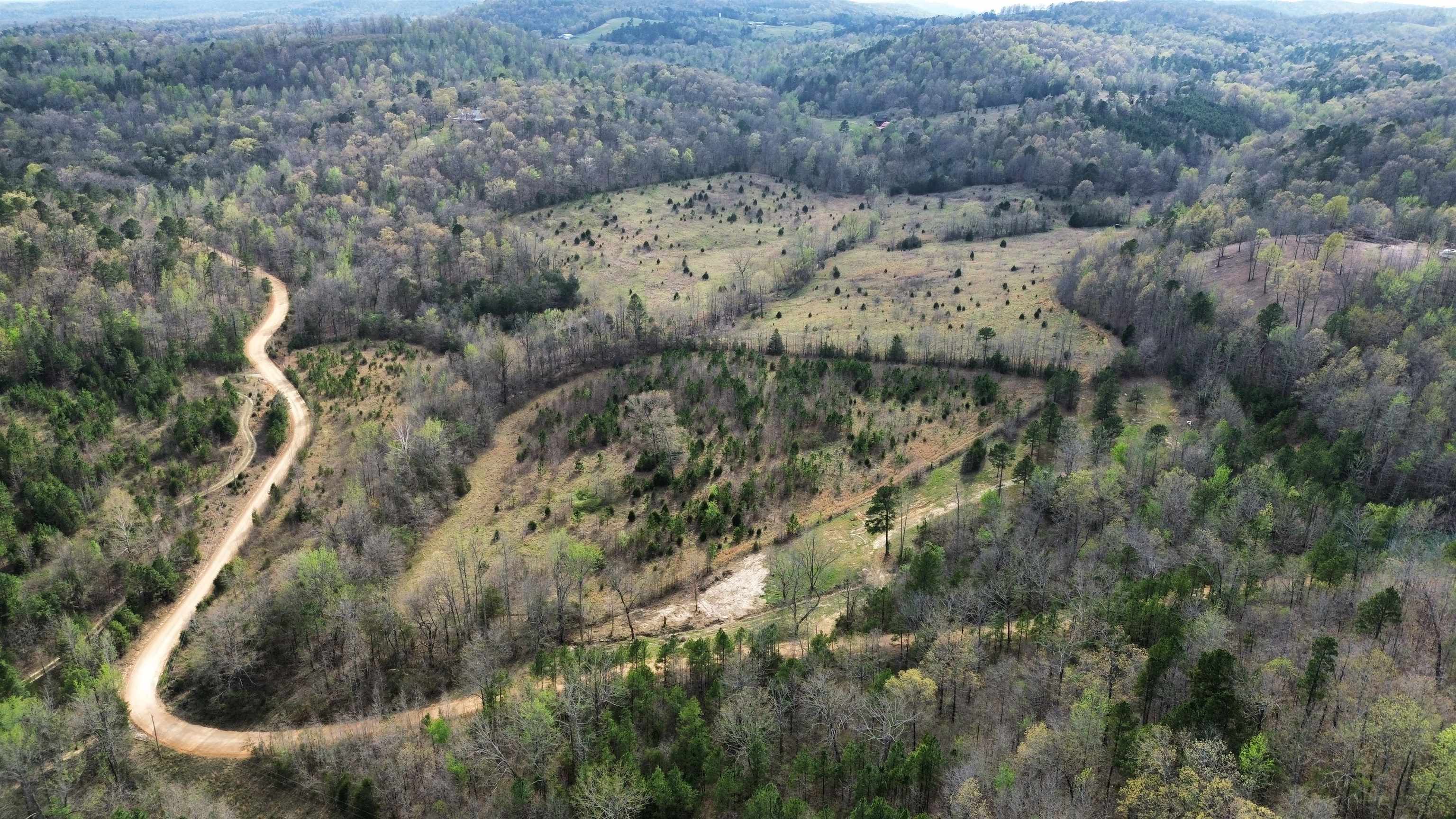 77 Coon Dog Lane  Melbourne, AR