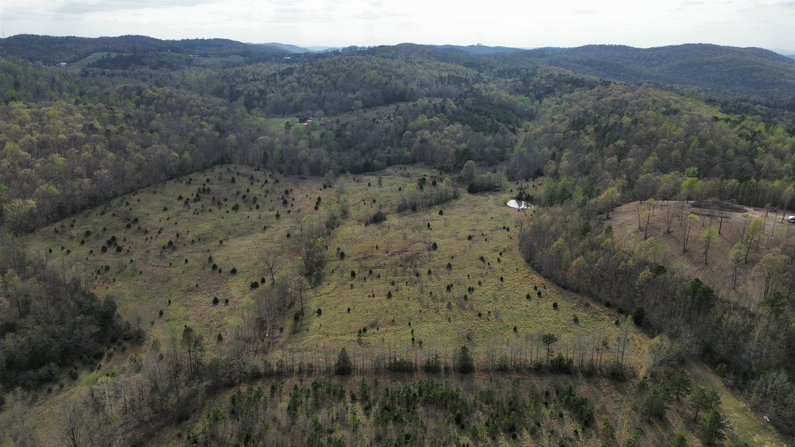 77 Coon Dog Lane  Melbourne, AR