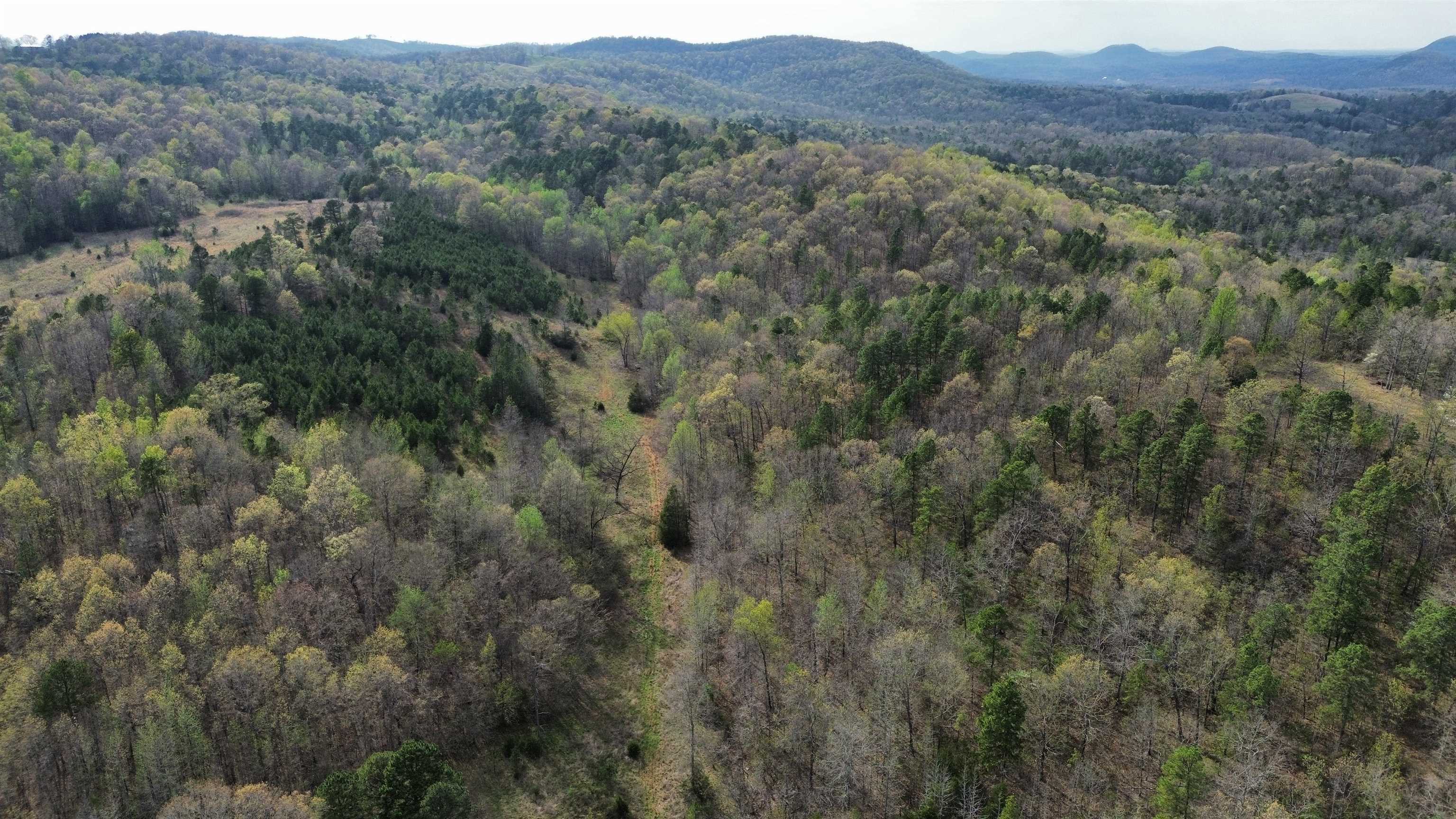 77 Coon Dog Lane  Melbourne, AR