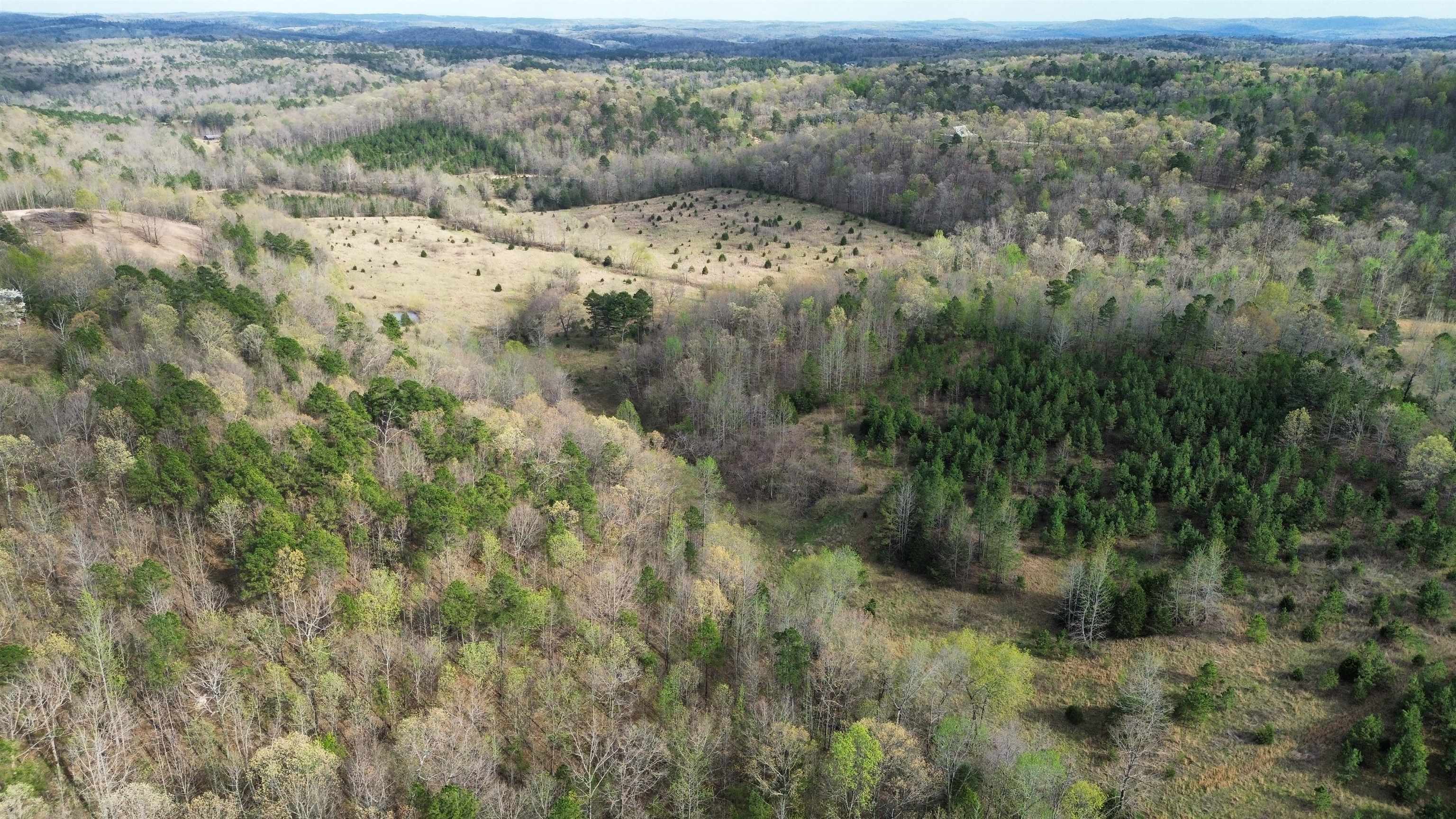 77 Coon Dog Lane  Melbourne, AR