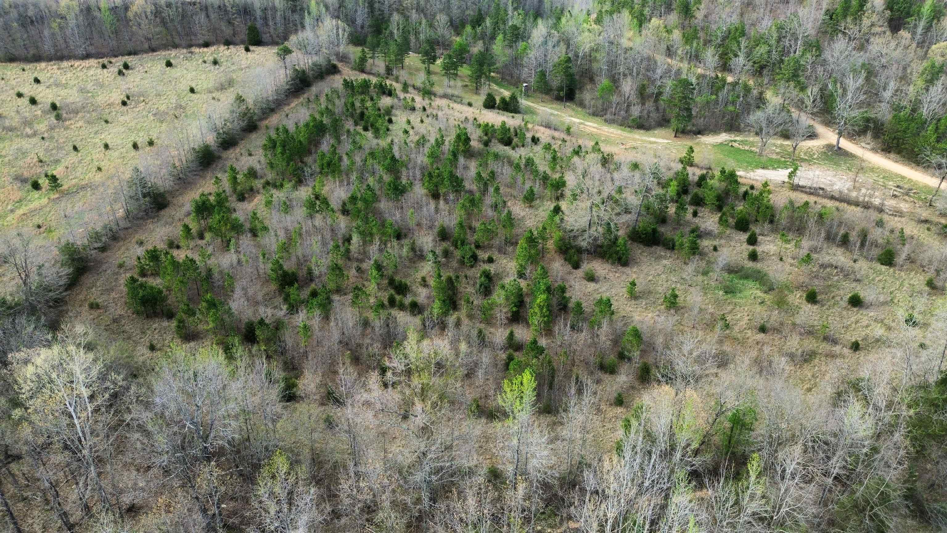 77 Coon Dog Lane  Melbourne, AR