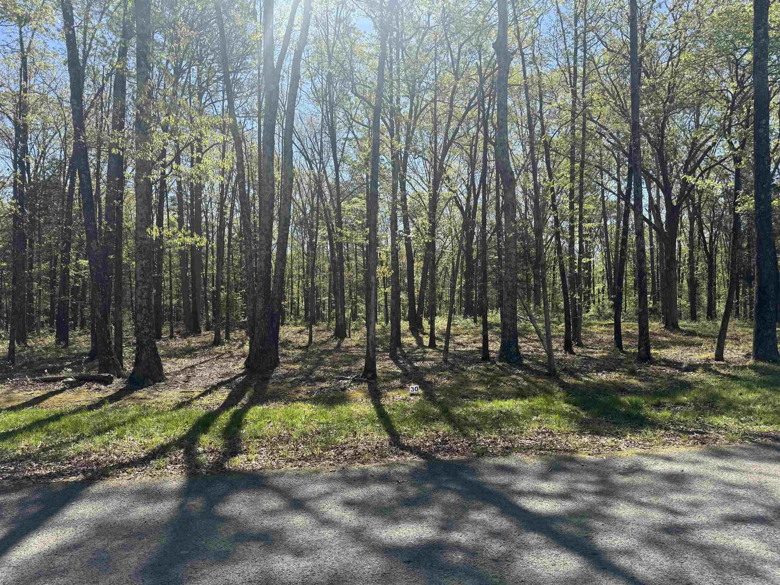 Lot 30 Shiloh Landing Pointe  Greers Ferry, AR
