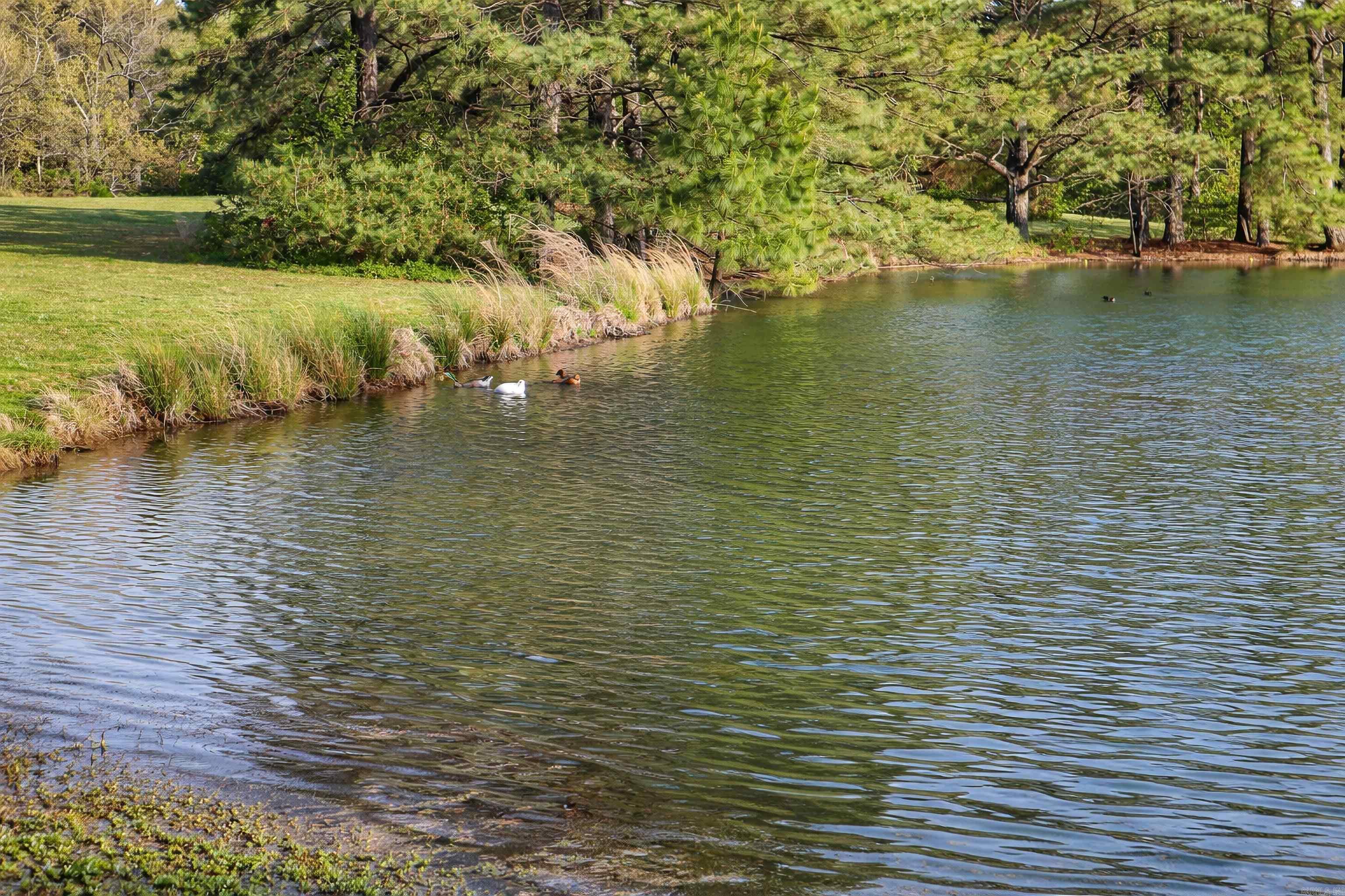 4851 County Road 745 House + 8.5 Acres Jonesboro, AR