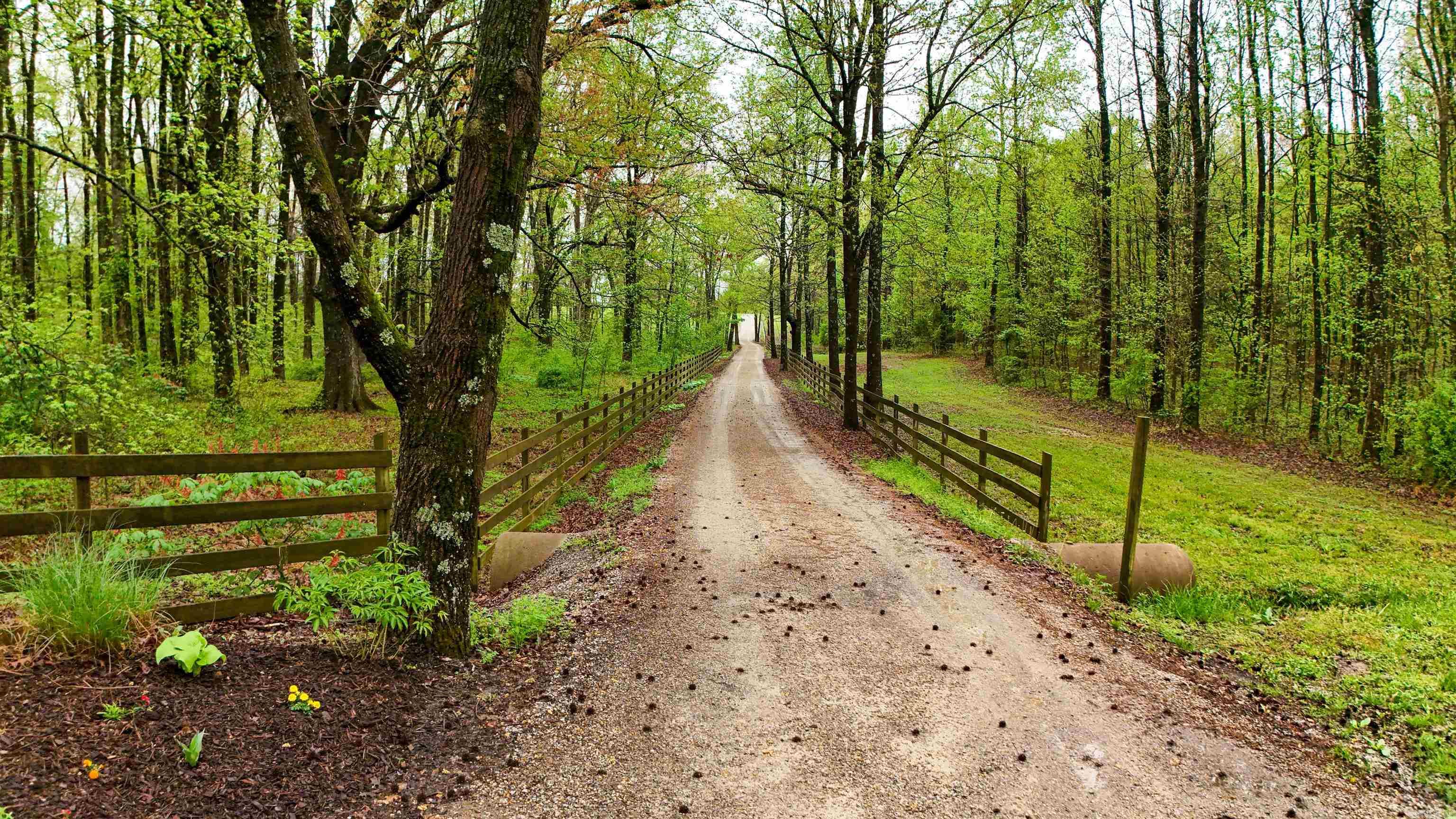 4851 County Road 745 House + 8.5 Acres Jonesboro, AR