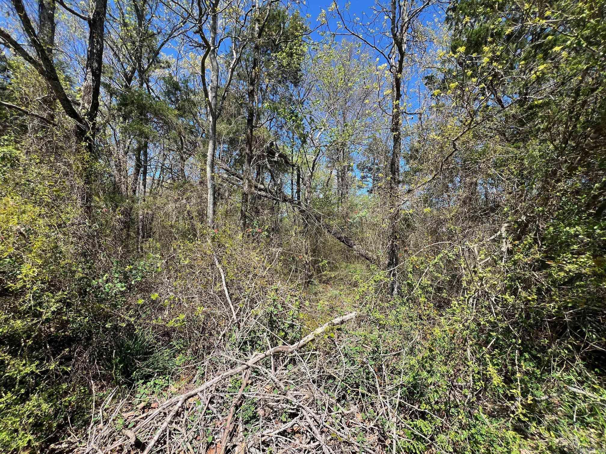 00 County Line Road  Rose Bud, AR