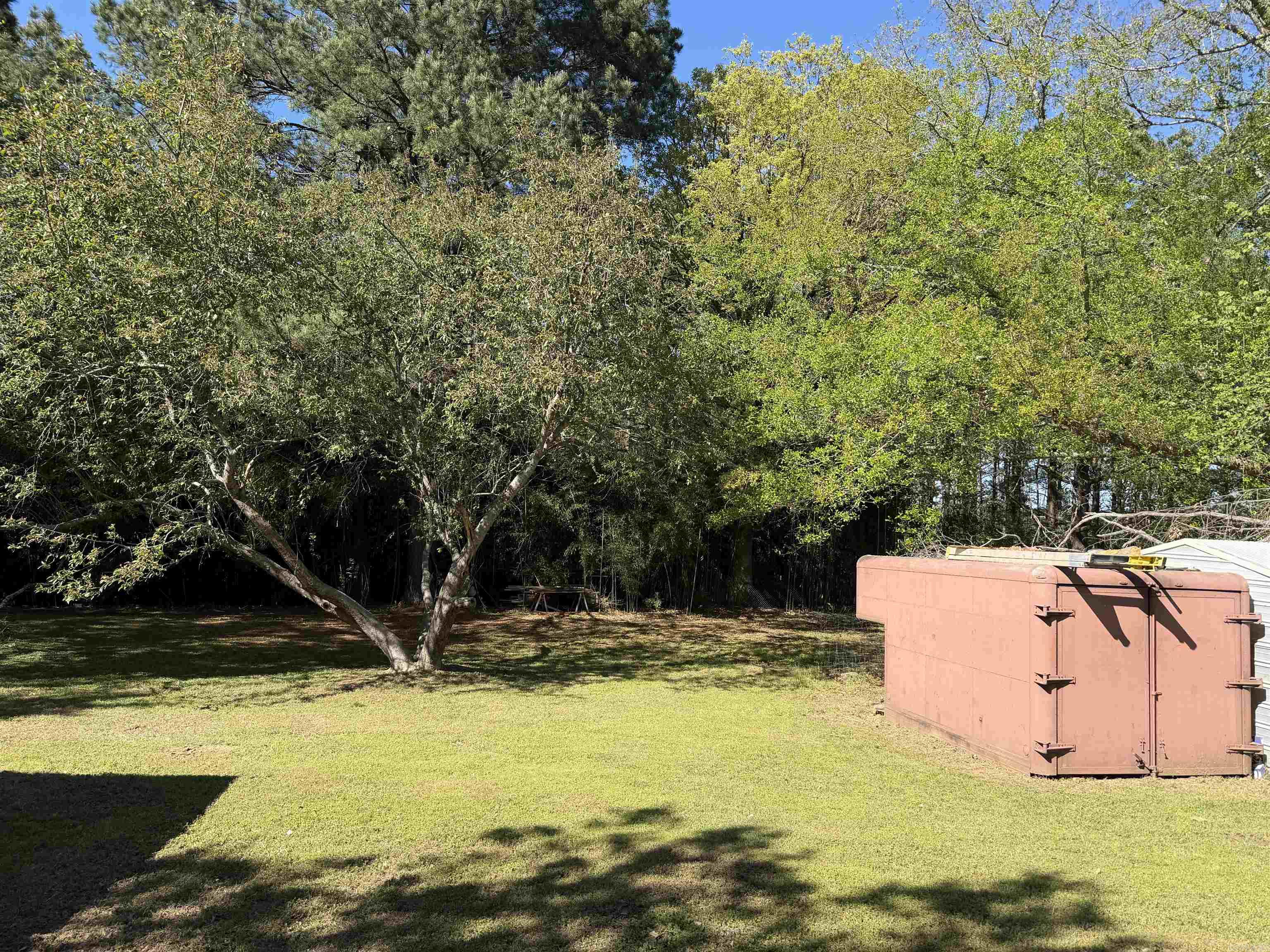 934 GRANT 45  Prattsville, AR