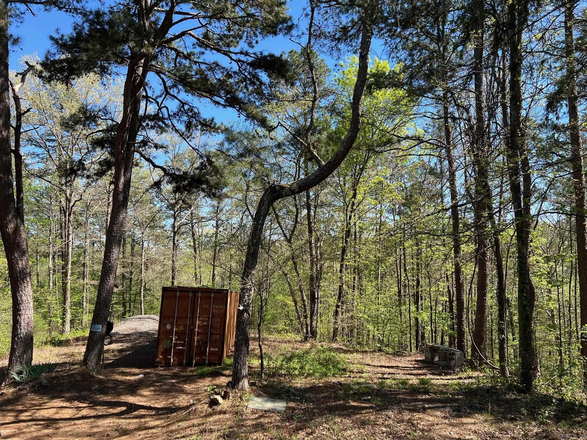 233 White  Clinton, AR