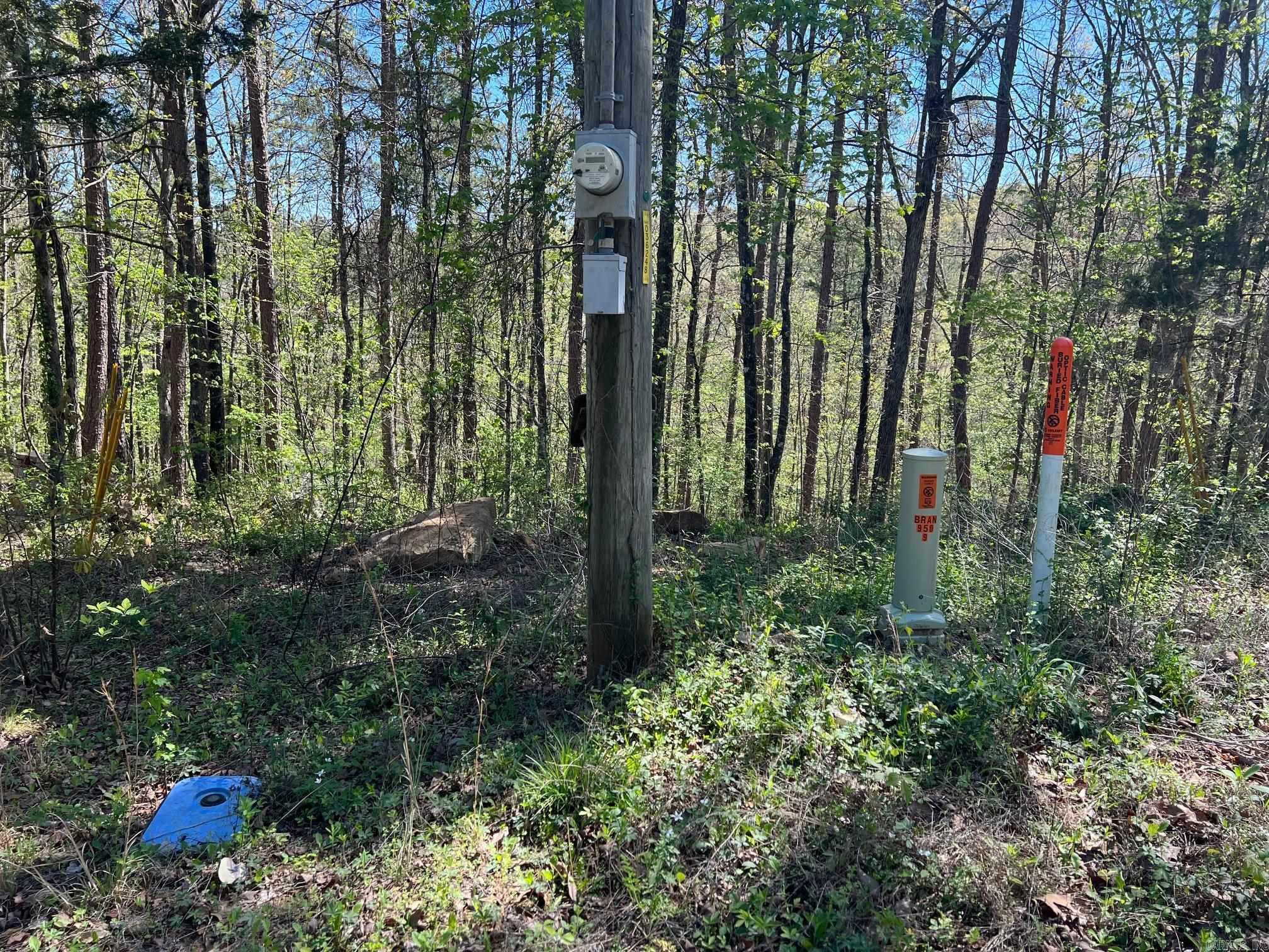 233 White  Clinton, AR