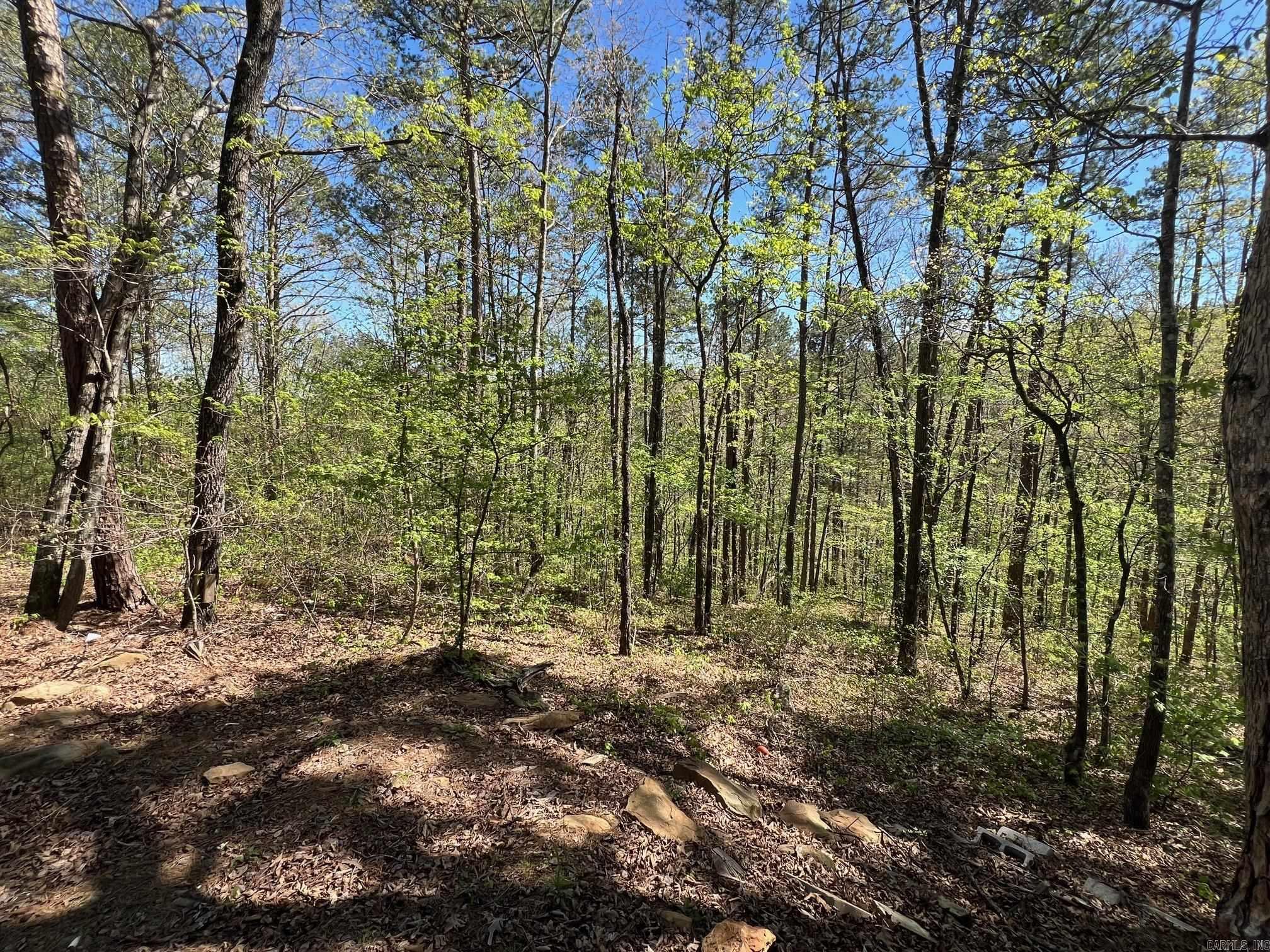 233 White  Clinton, AR