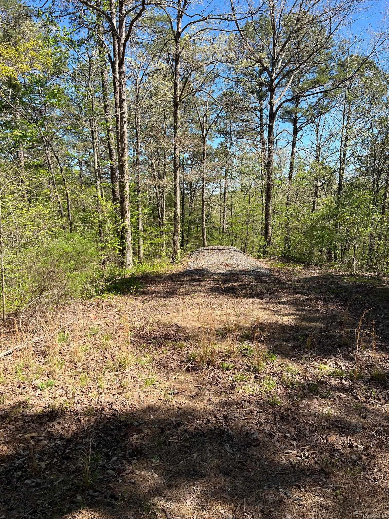 233 White  Clinton, AR