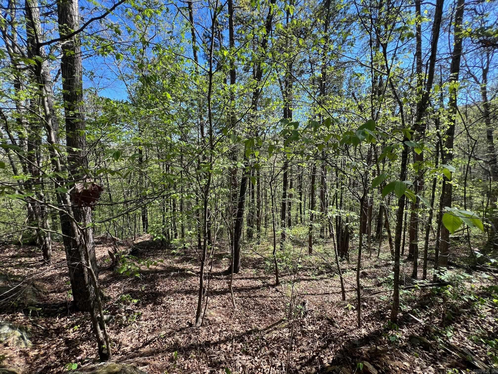 233 White  Clinton, AR