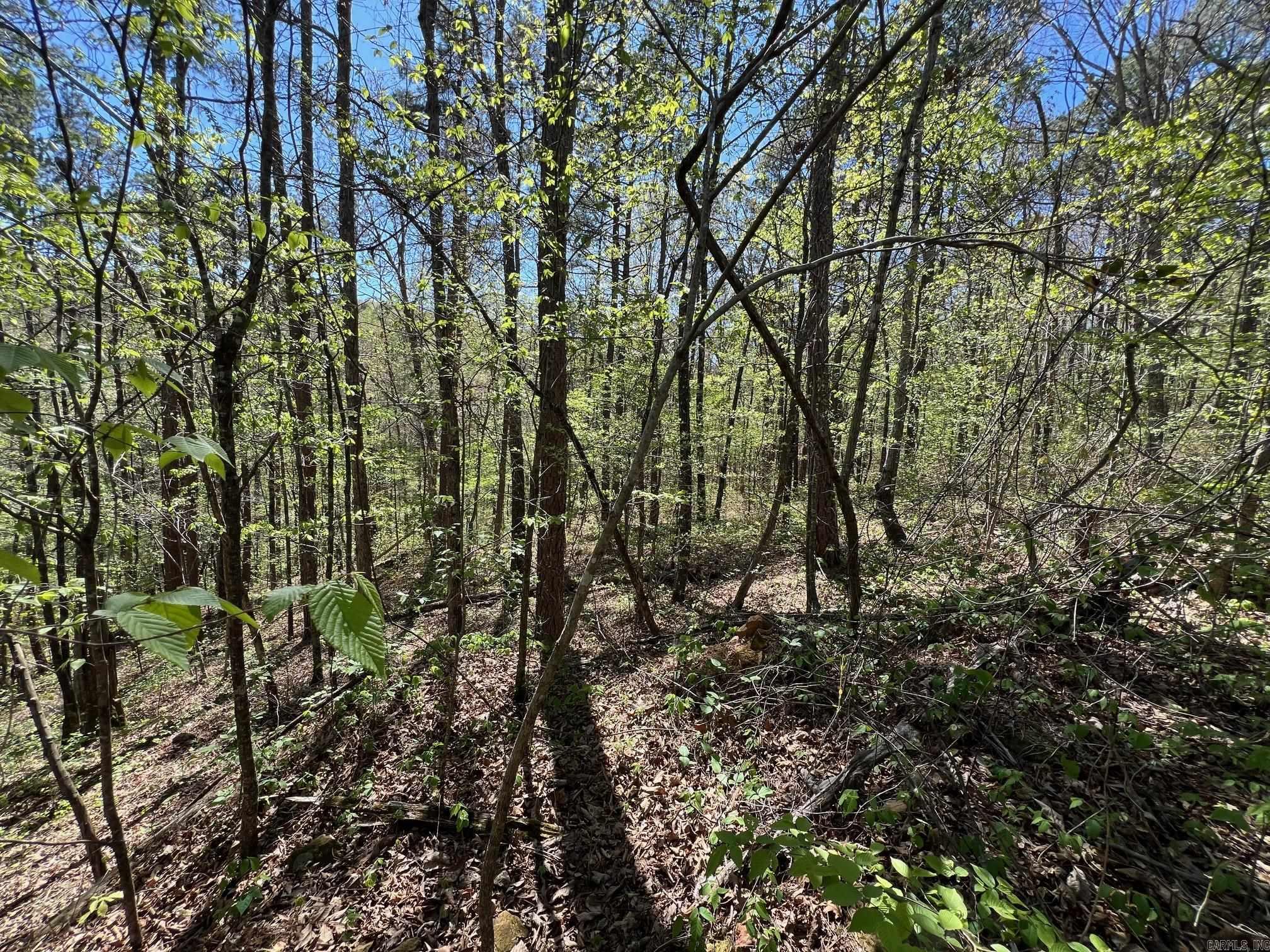 233 White  Clinton, AR